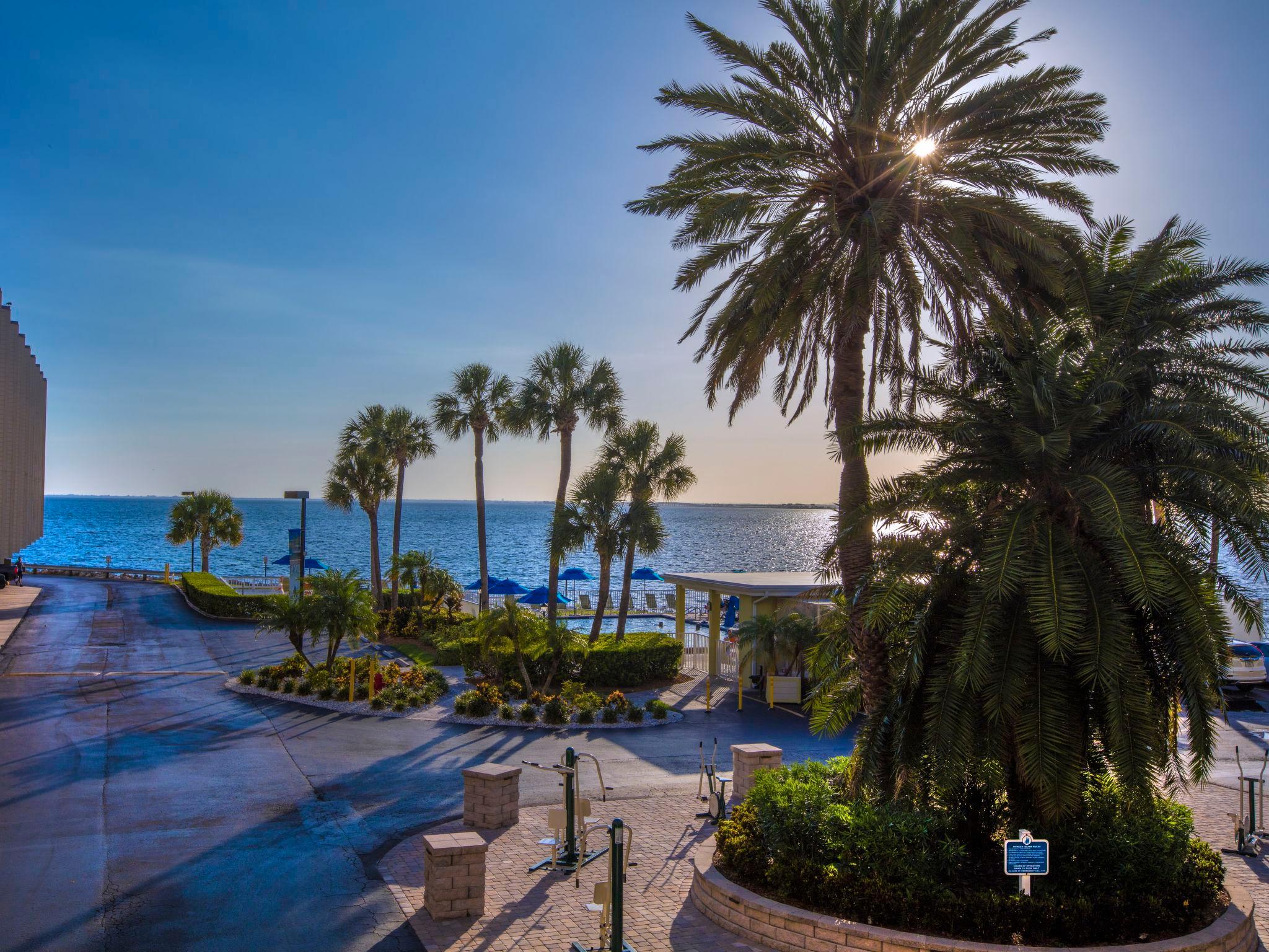 Foto 4 - Appartamento con 1 camera da letto a Tampa con piscina e vista mare