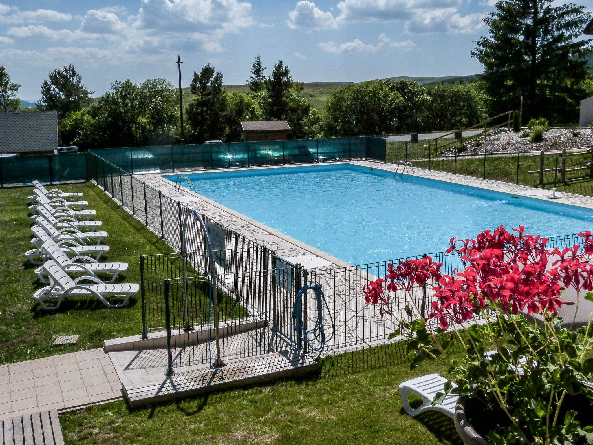 Foto 5 - Apartamento de 1 quarto em Besse-et-Saint-Anastaise com piscina e vista para a montanha