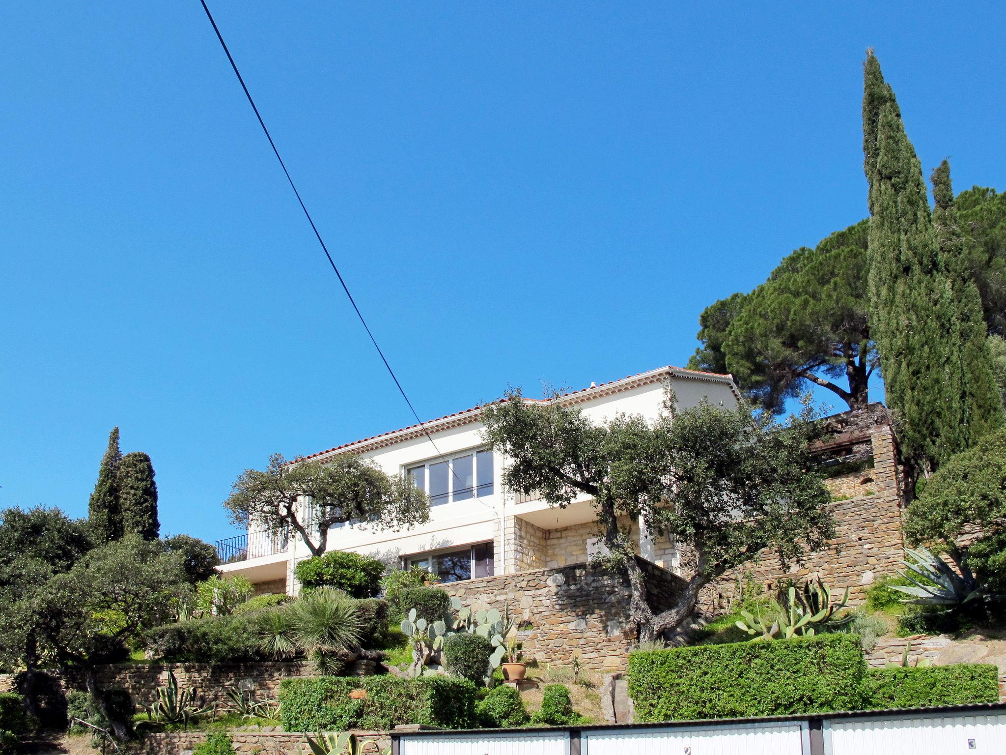 Photo 1 - Appartement de 2 chambres à Le Lavandou avec piscine et jardin