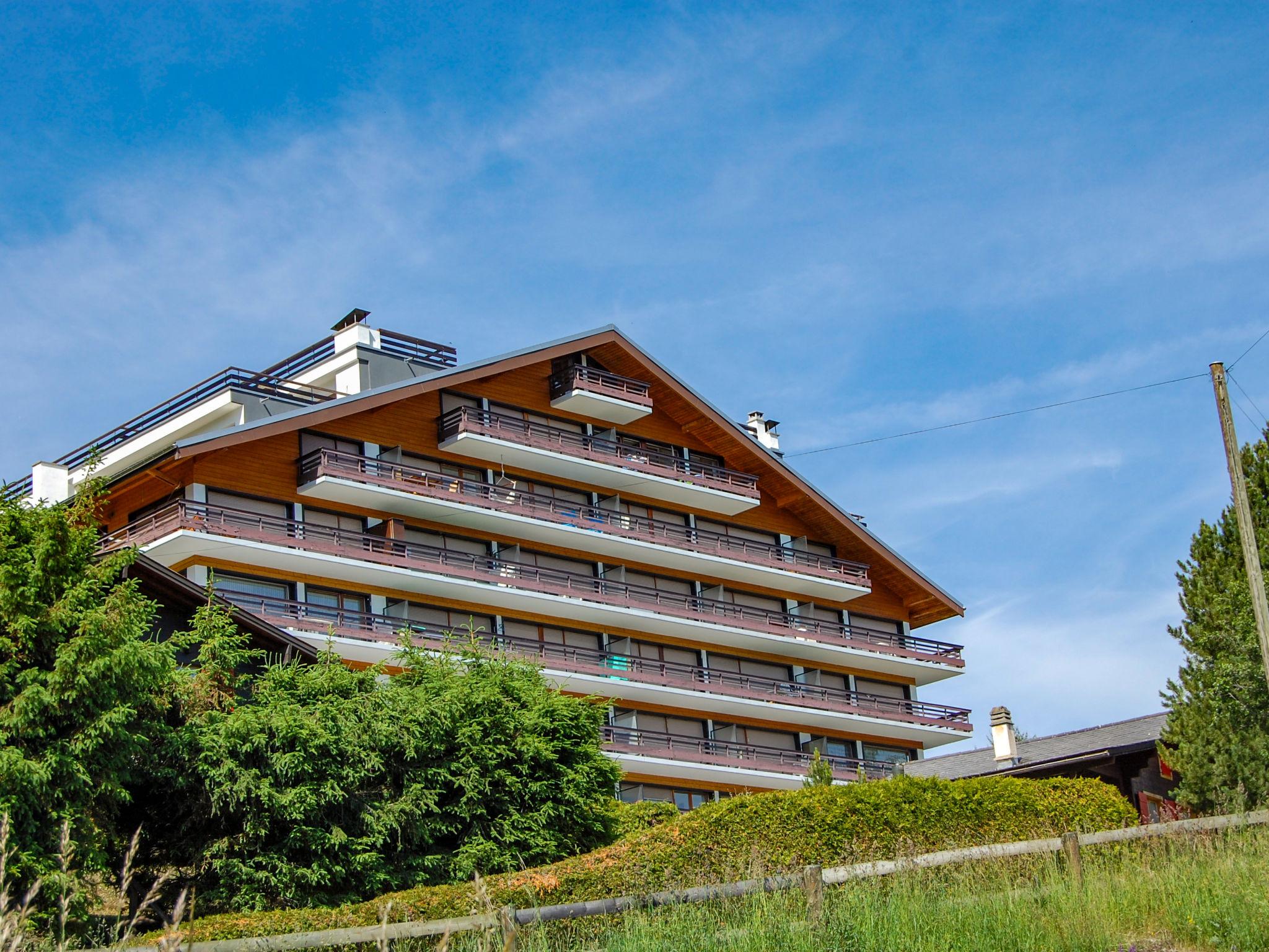 Foto 1 - Apartment mit 2 Schlafzimmern in Nendaz mit blick auf die berge