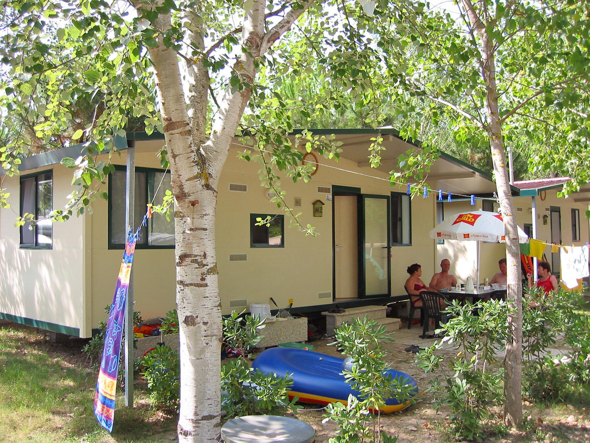 Photo 5 - Maison de 2 chambres à Castiglione del Lago avec piscine et terrasse