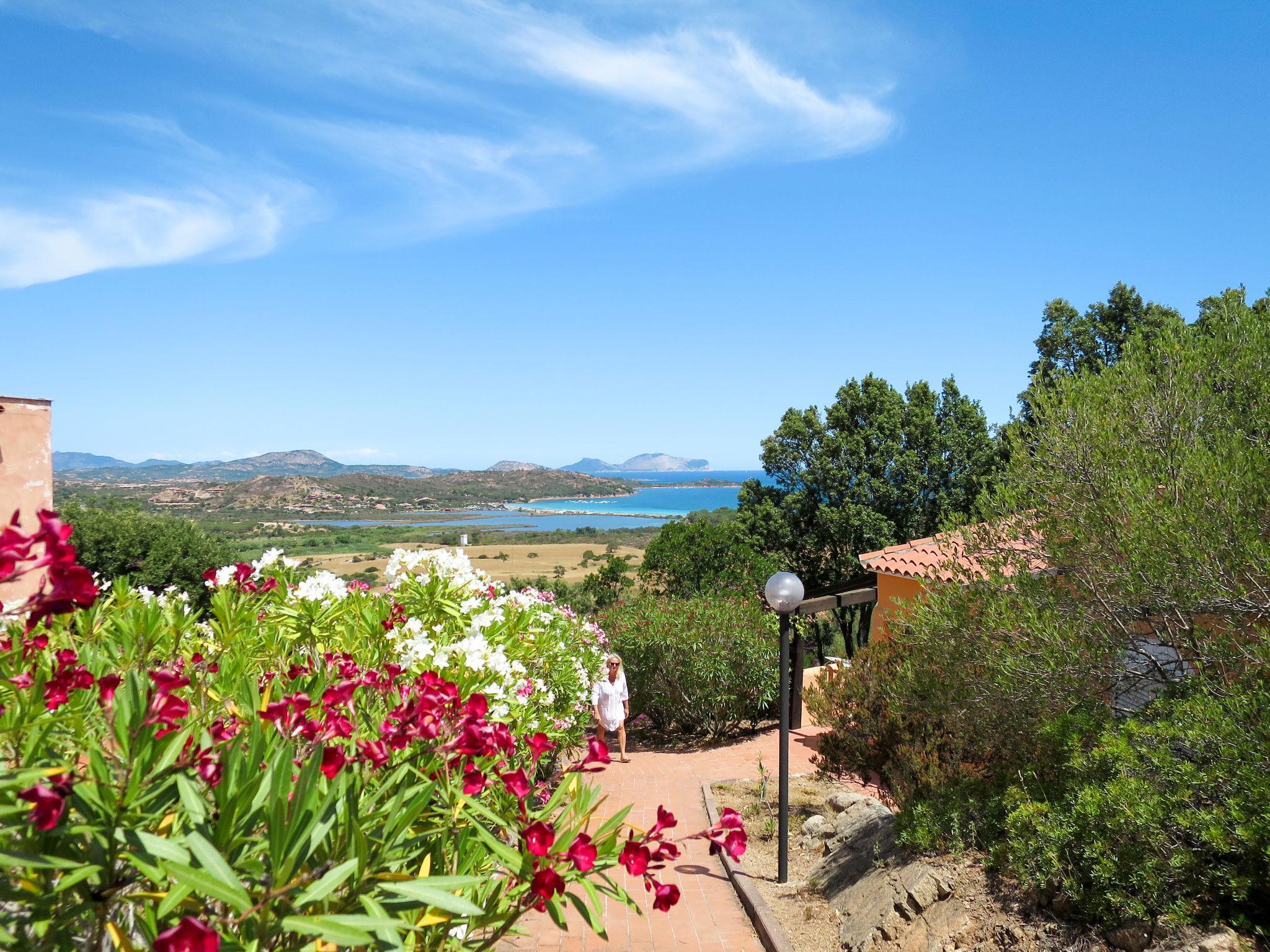 Foto 10 - Appartamento con 1 camera da letto a San Teodoro con piscina e giardino