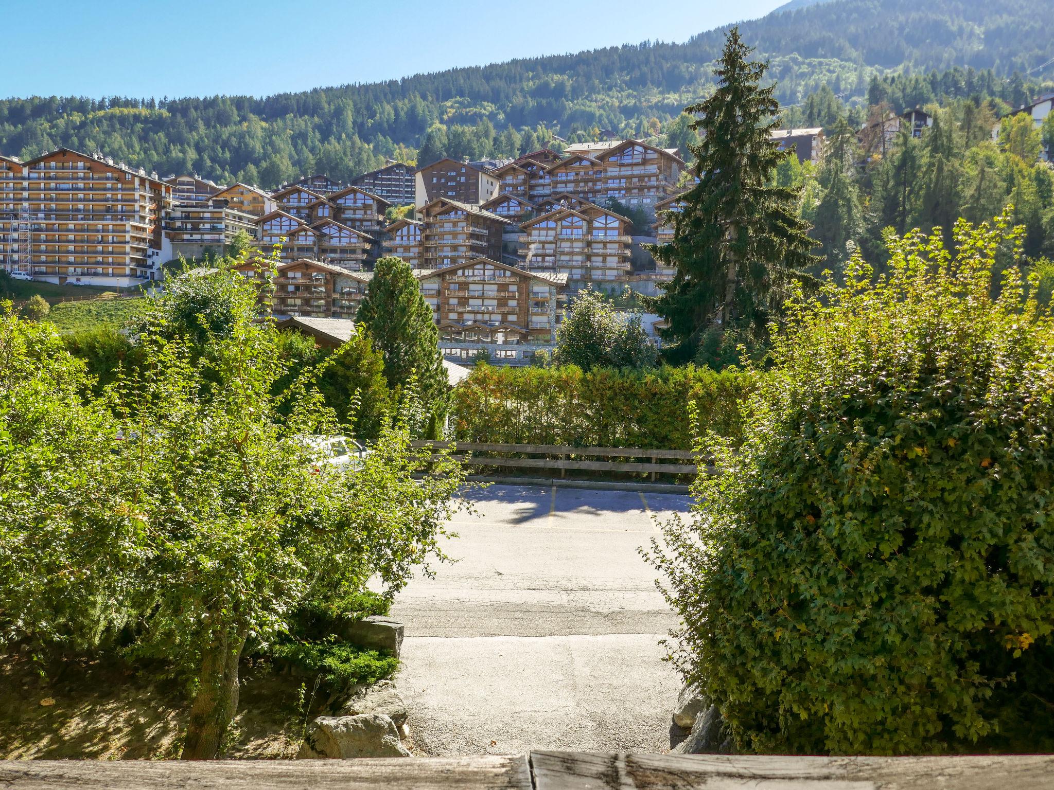 Foto 19 - Apartamento de 1 habitación en Nendaz con vistas a la montaña