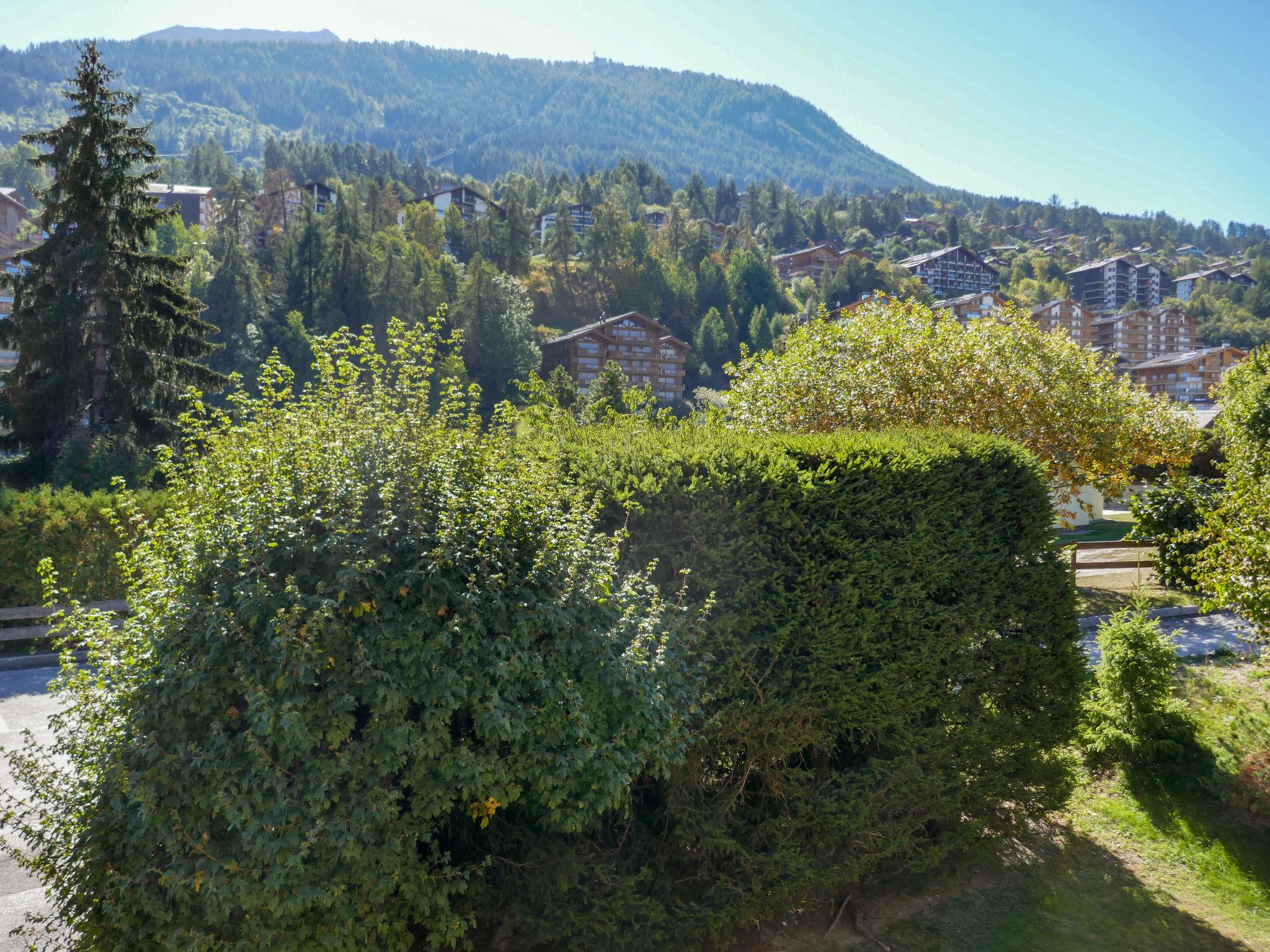 Photo 20 - Appartement de 1 chambre à Nendaz avec vues sur la montagne