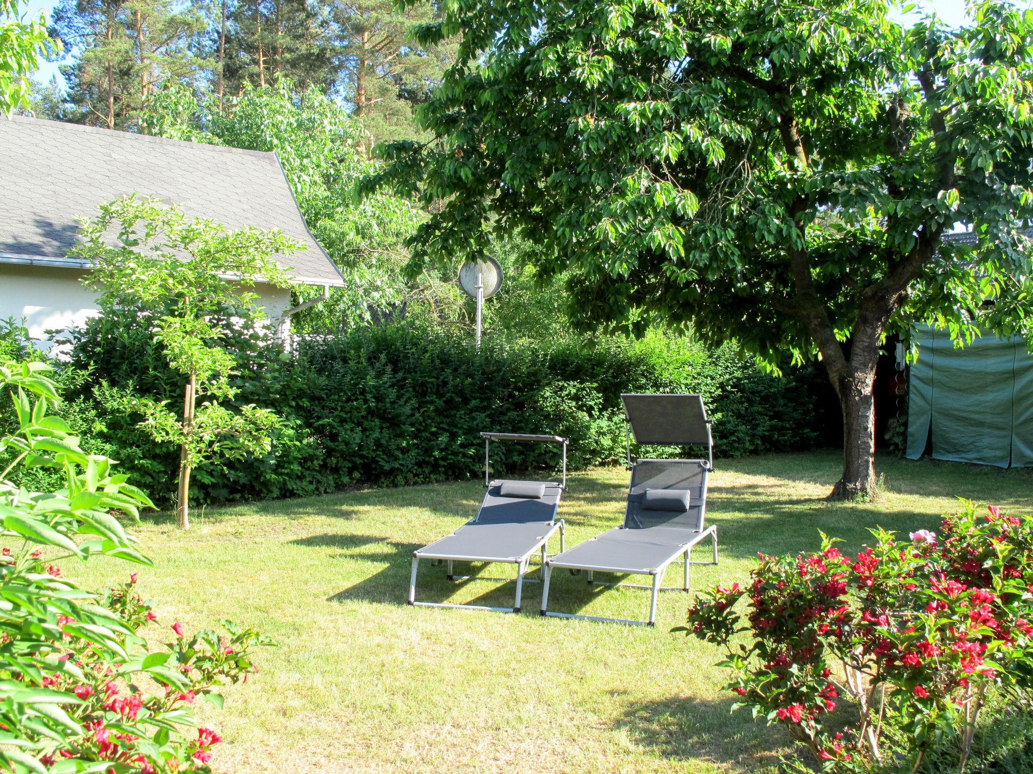 Photo 5 - 1 bedroom Apartment in Plau am See with garden and sea view