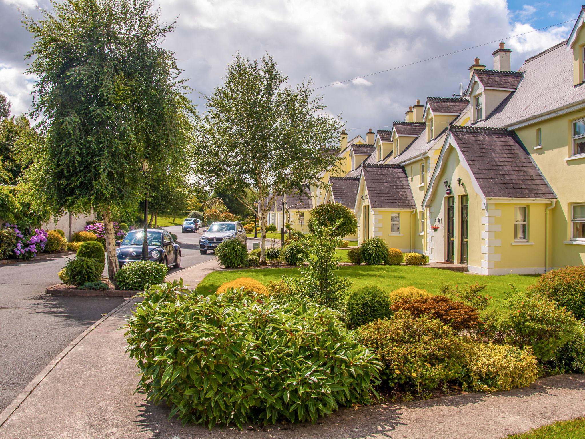 Photo 5 - Maison de 3 chambres à Arklow avec jardin