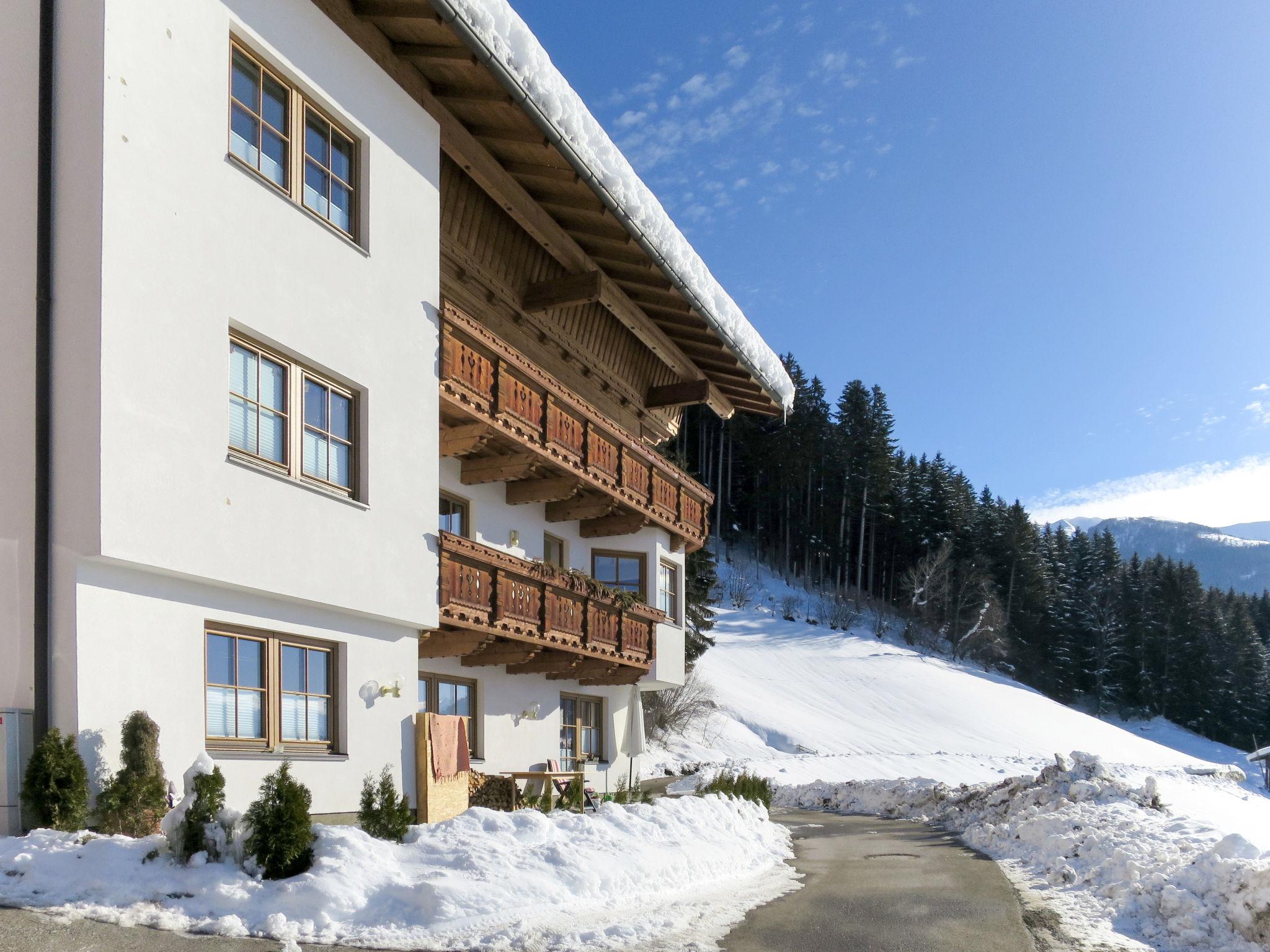 Foto 14 - Apartamento de 2 habitaciones en Hart im Zillertal con vistas a la montaña