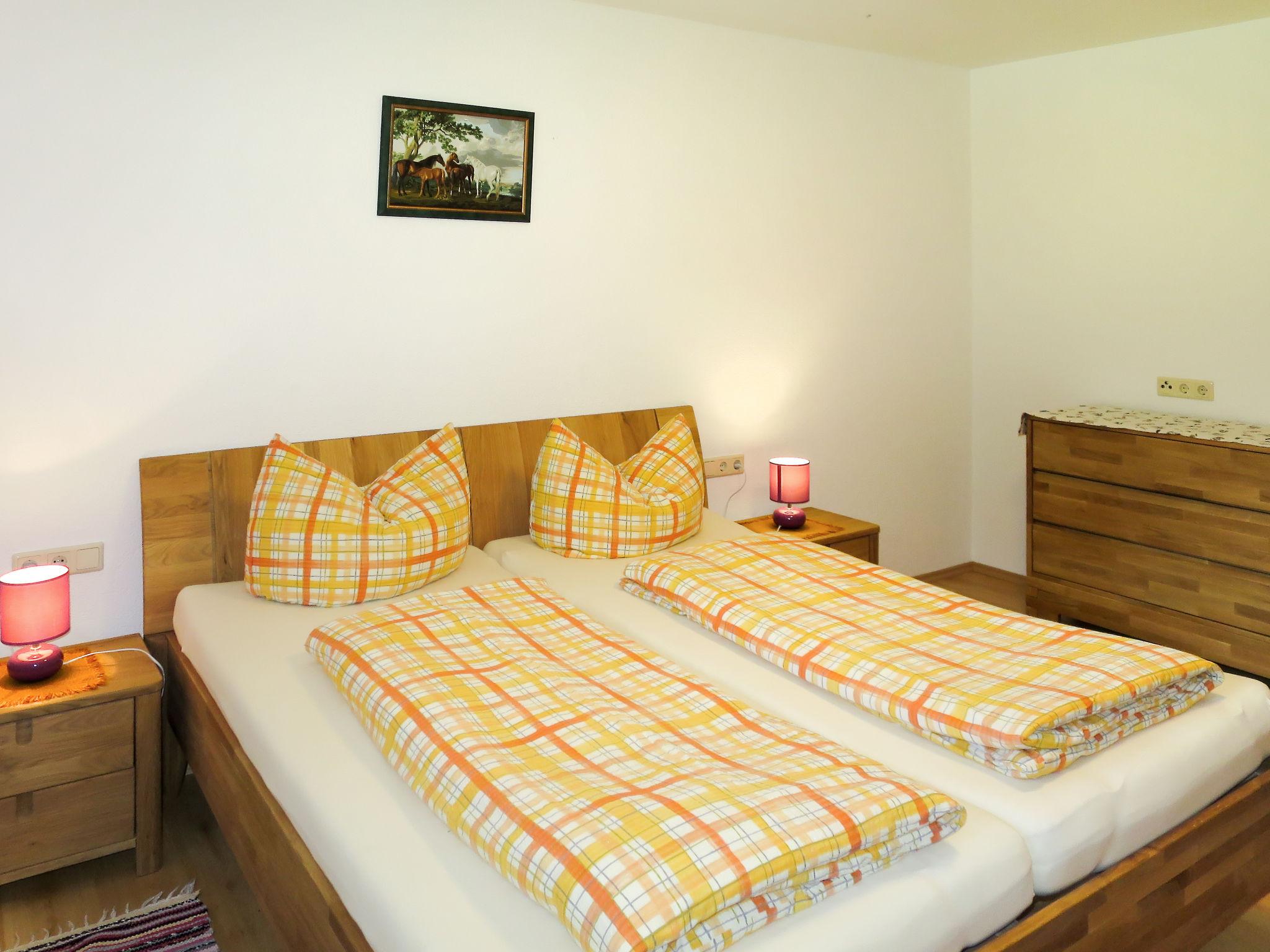 Foto 10 - Appartamento con 2 camere da letto a Hart im Zillertal con vista sulle montagne