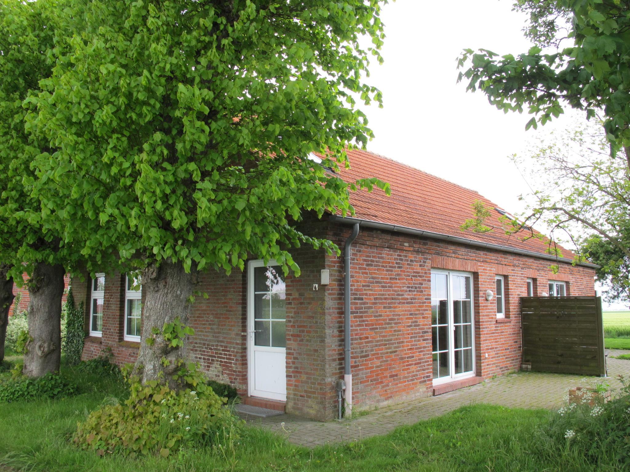 Photo 26 - 8 bedroom House in Bunde with garden and terrace