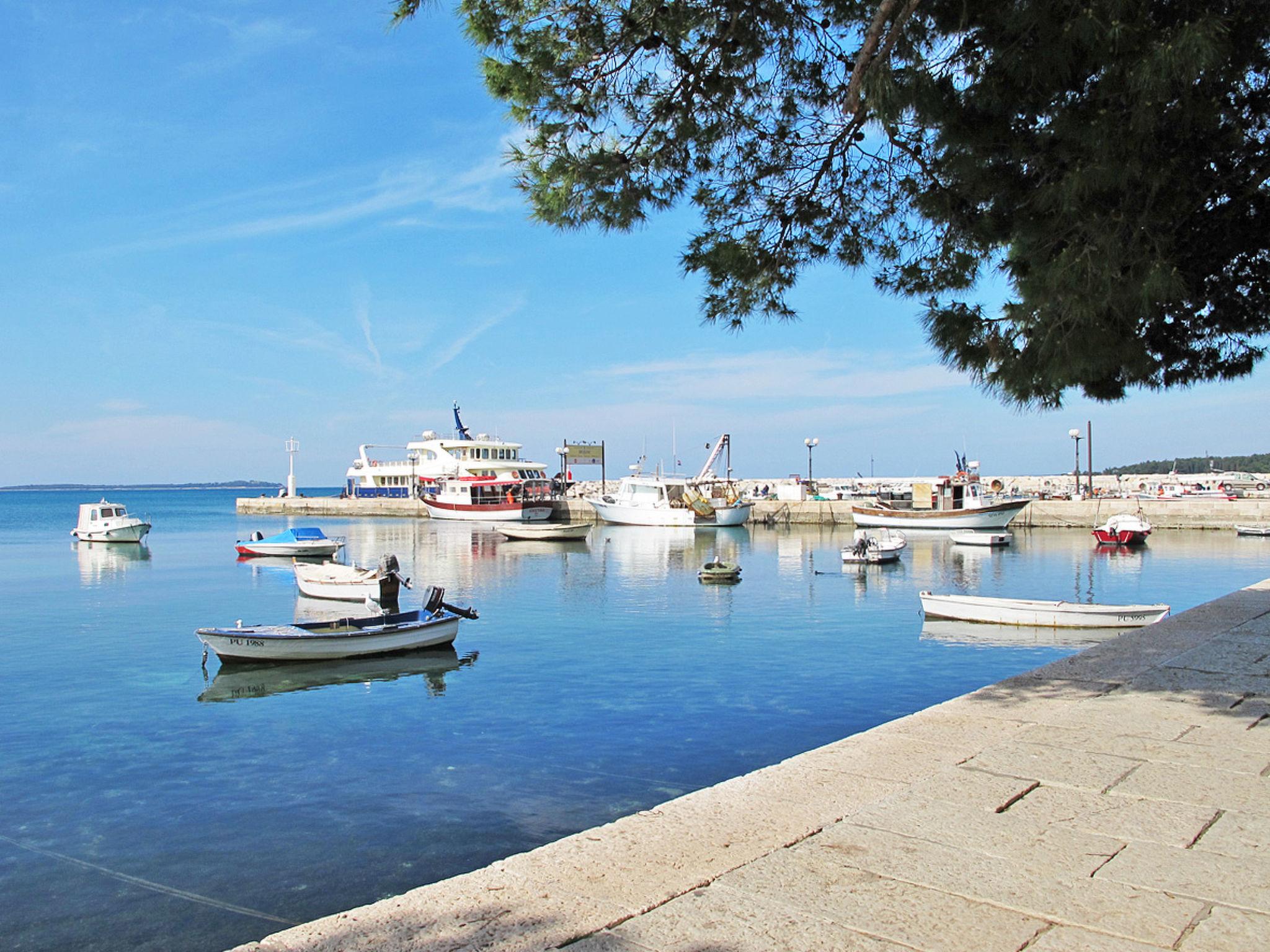 Foto 54 - Haus mit 3 Schlafzimmern in Vodnjan mit privater pool und blick aufs meer