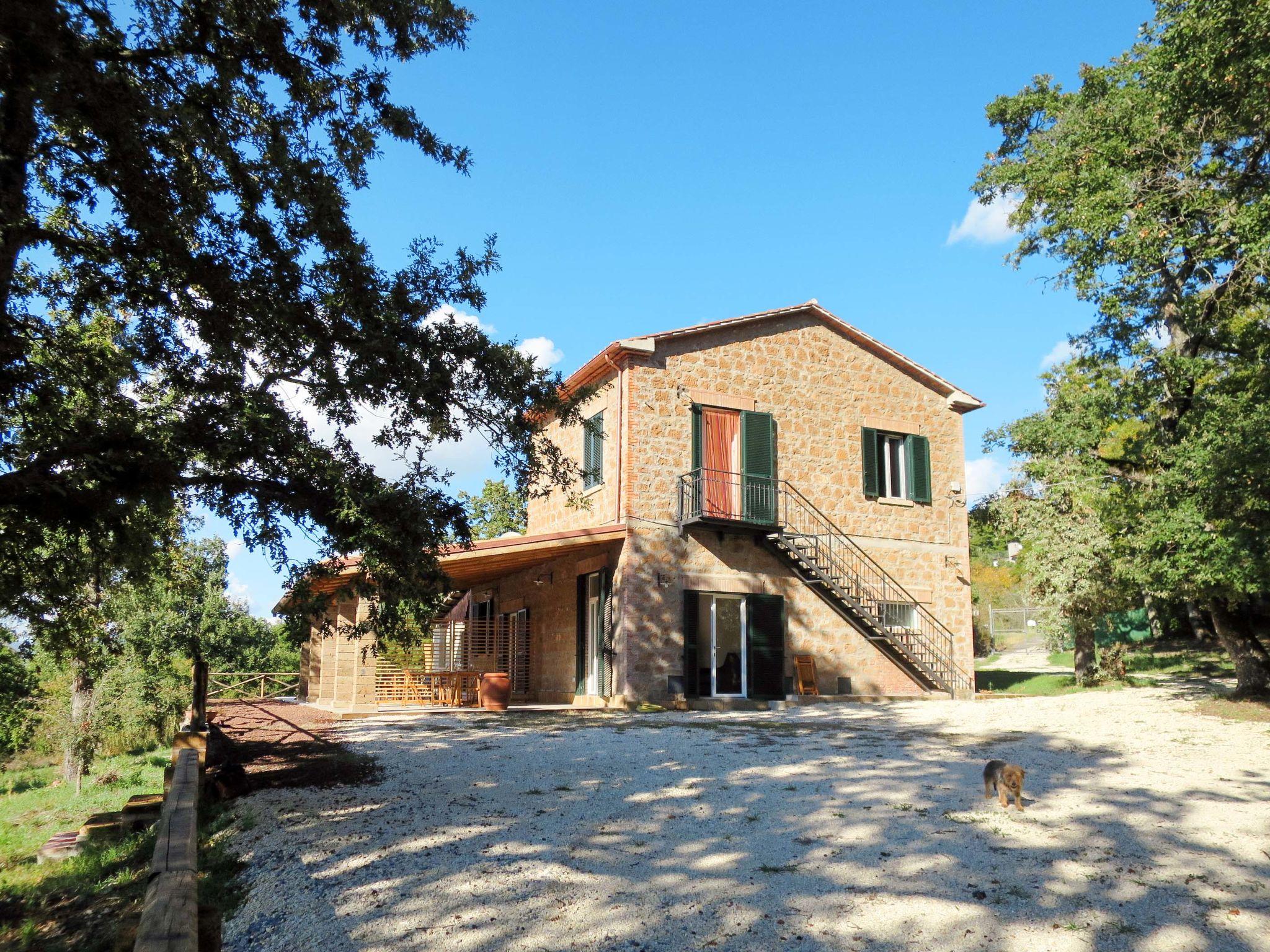 Foto 19 - Apartamento de 1 habitación en Bolsena con piscina y jardín