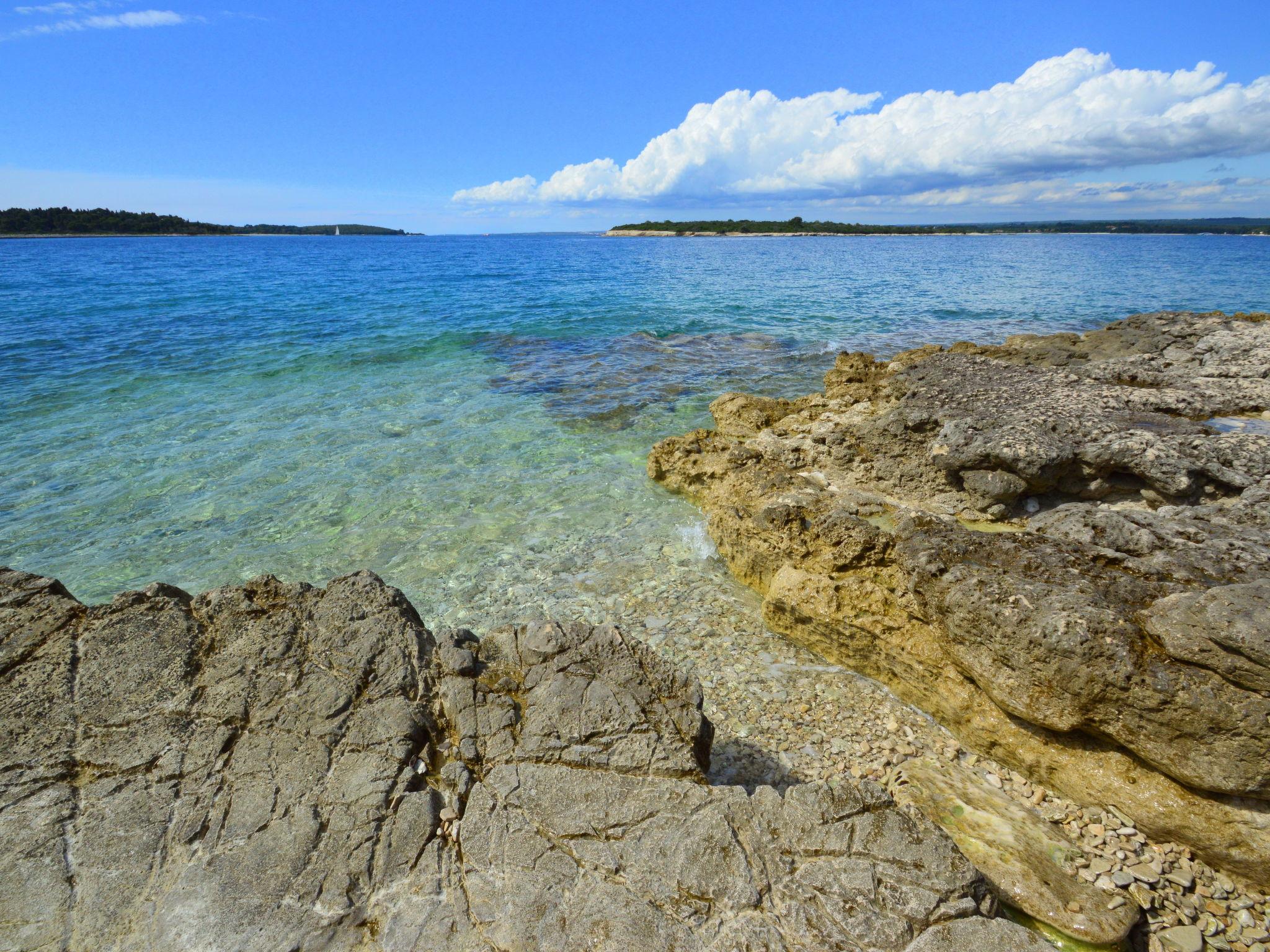 Foto 53 - Casa de 7 quartos em Pula com piscina privada e vistas do mar