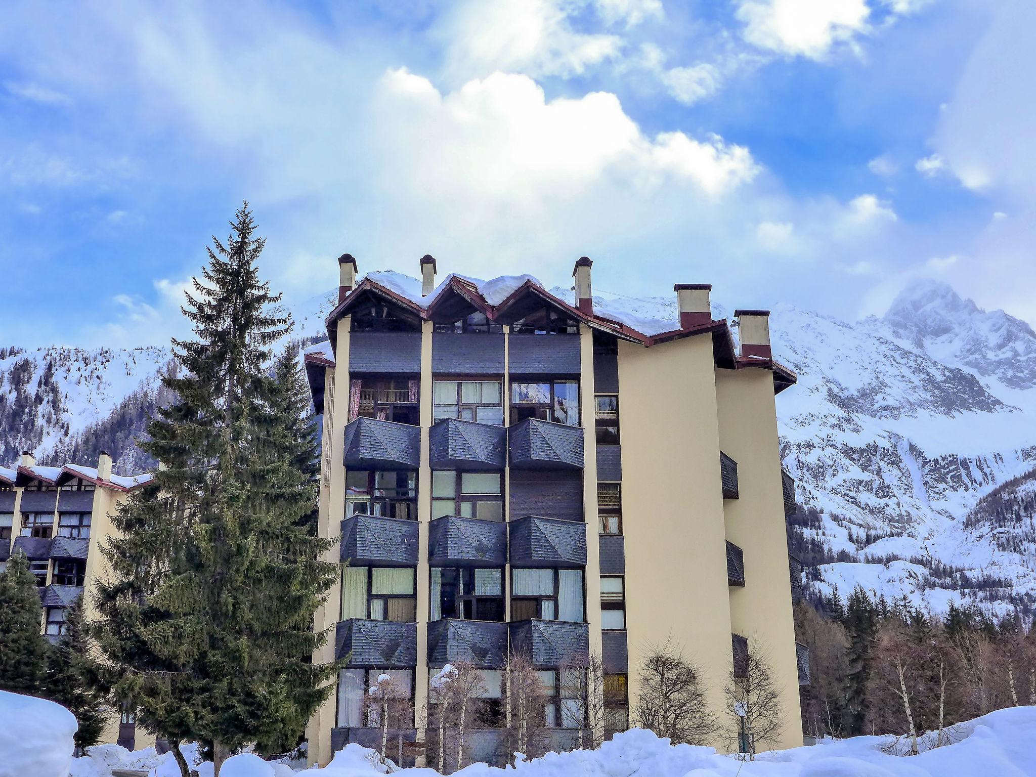 Foto 18 - Appartamento con 2 camere da letto a Chamonix-Mont-Blanc con vista sulle montagne