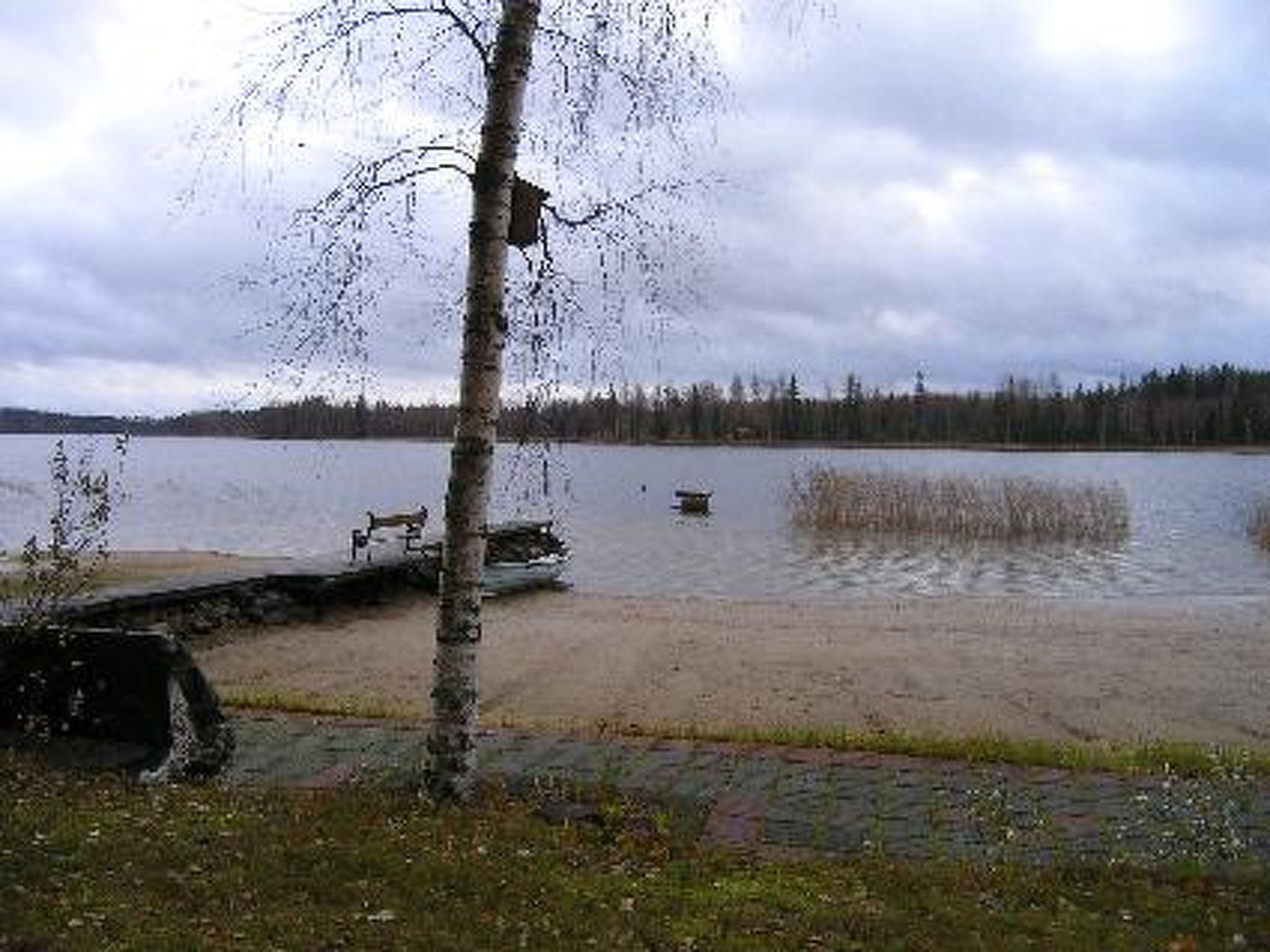 Foto 23 - Casa con 3 camere da letto a Savonlinna con sauna