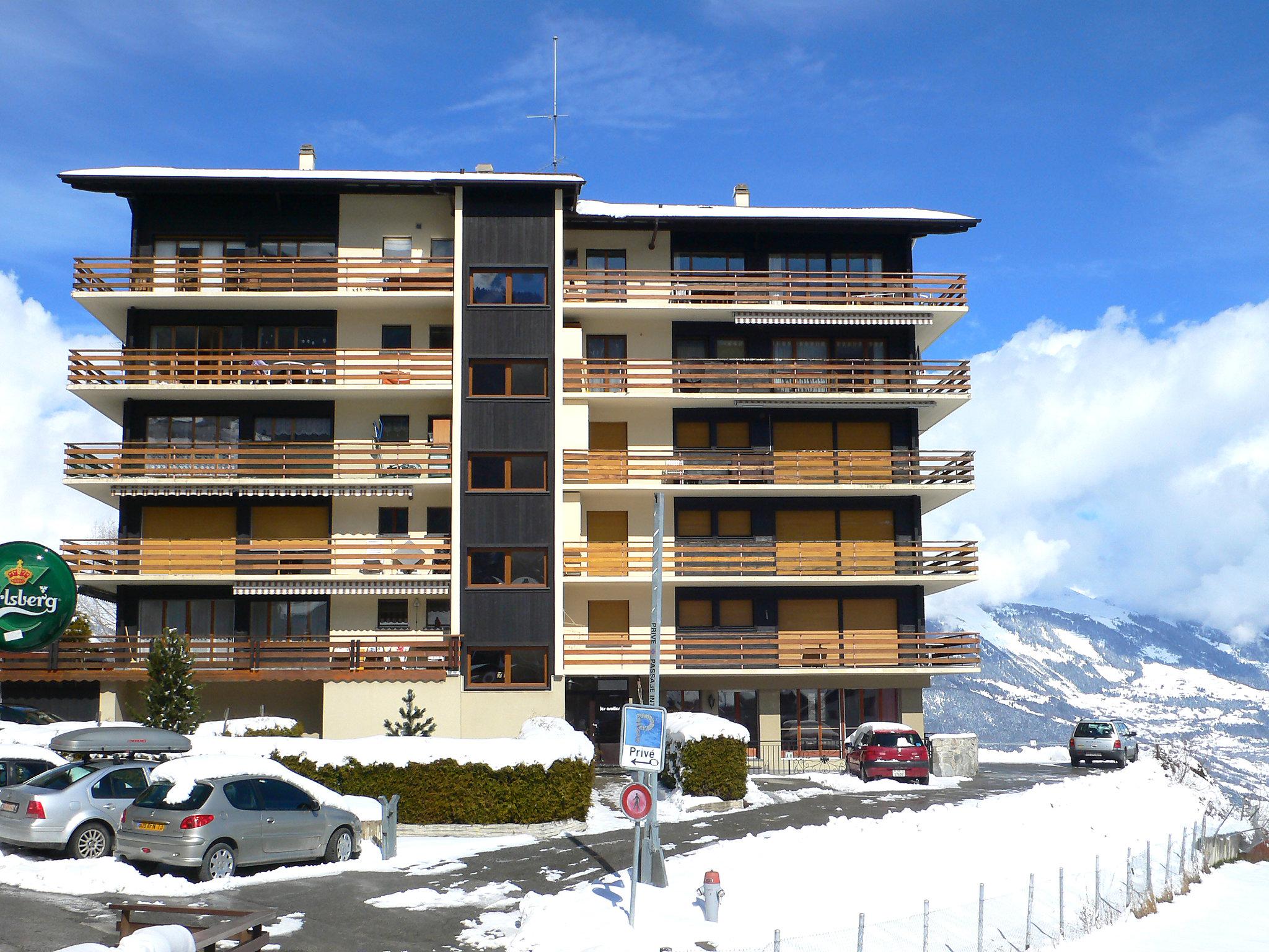 Foto 21 - Apartamento de 1 quarto em Nendaz com vista para a montanha