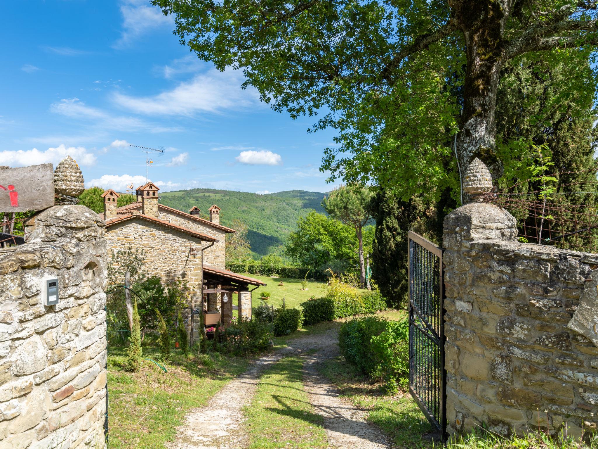 Foto 45 - Casa de 5 habitaciones en Arezzo con piscina privada y jardín