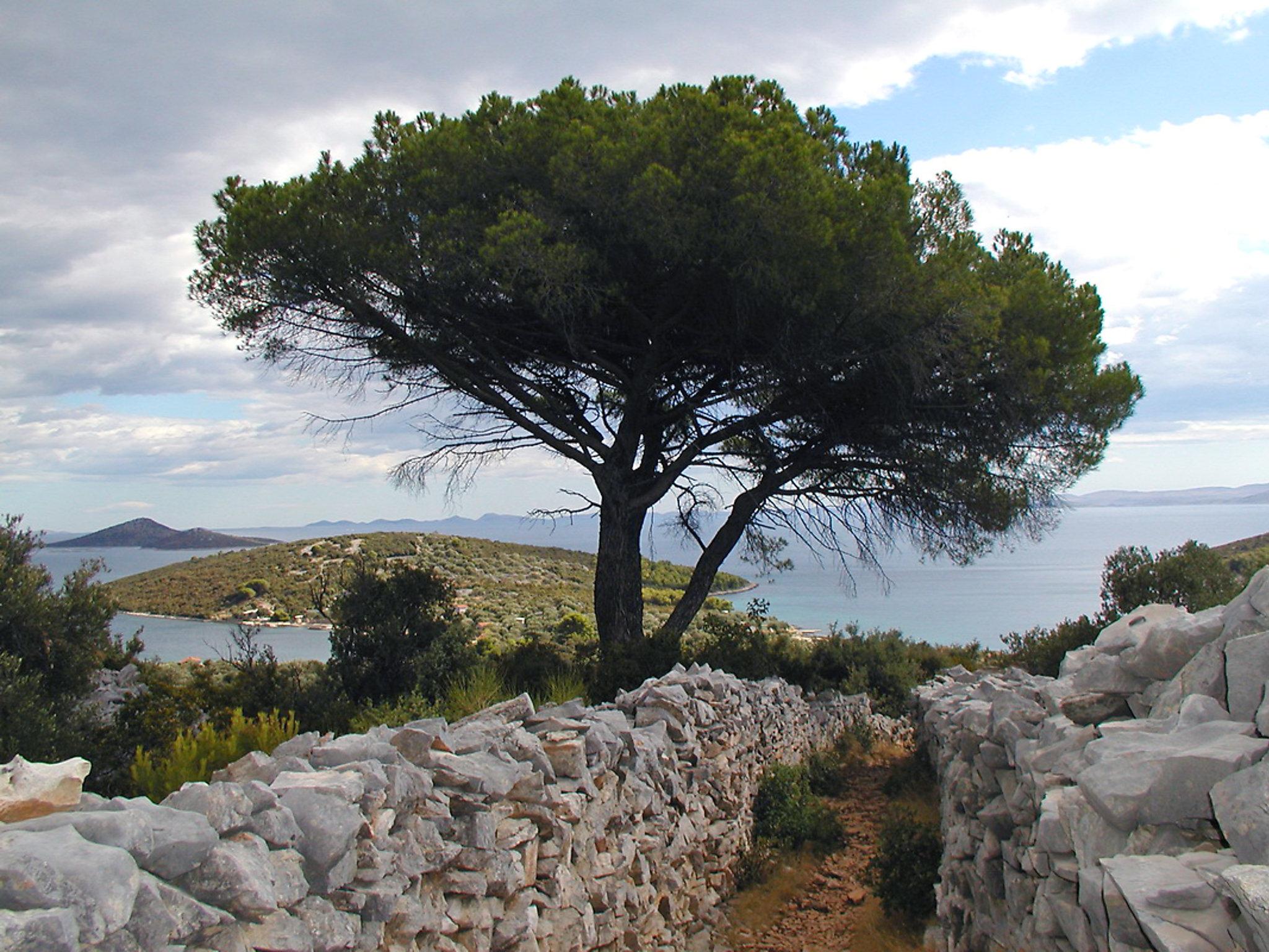 Photo 13 - 2 bedroom House in Pašman with terrace and sea view