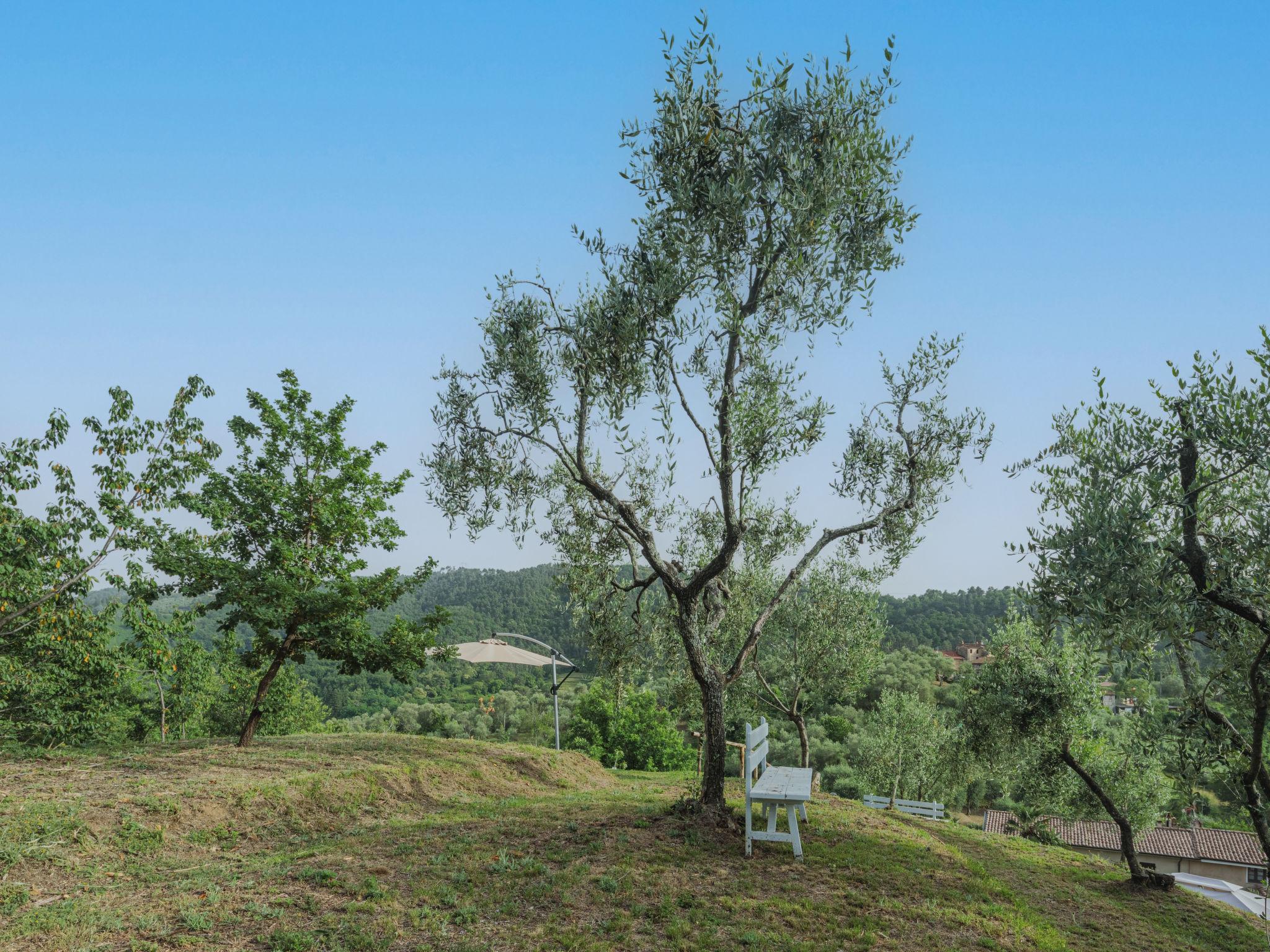 Foto 29 - Appartamento con 2 camere da letto a Camaiore con piscina privata e vista mare