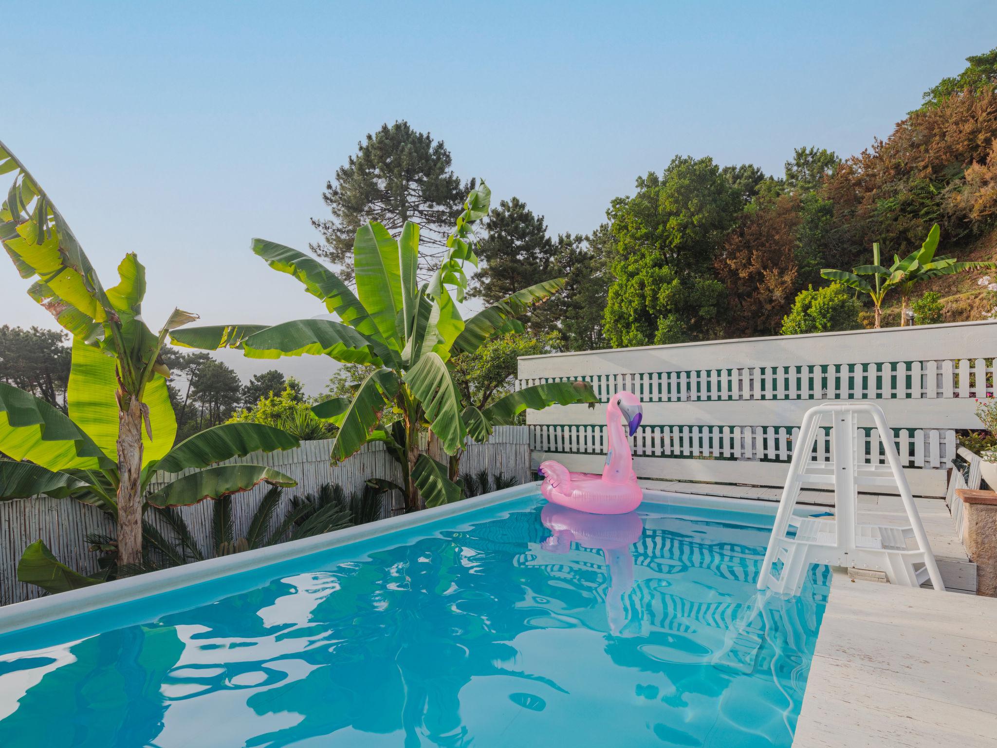 Photo 38 - Appartement de 2 chambres à Camaiore avec piscine privée et vues à la mer