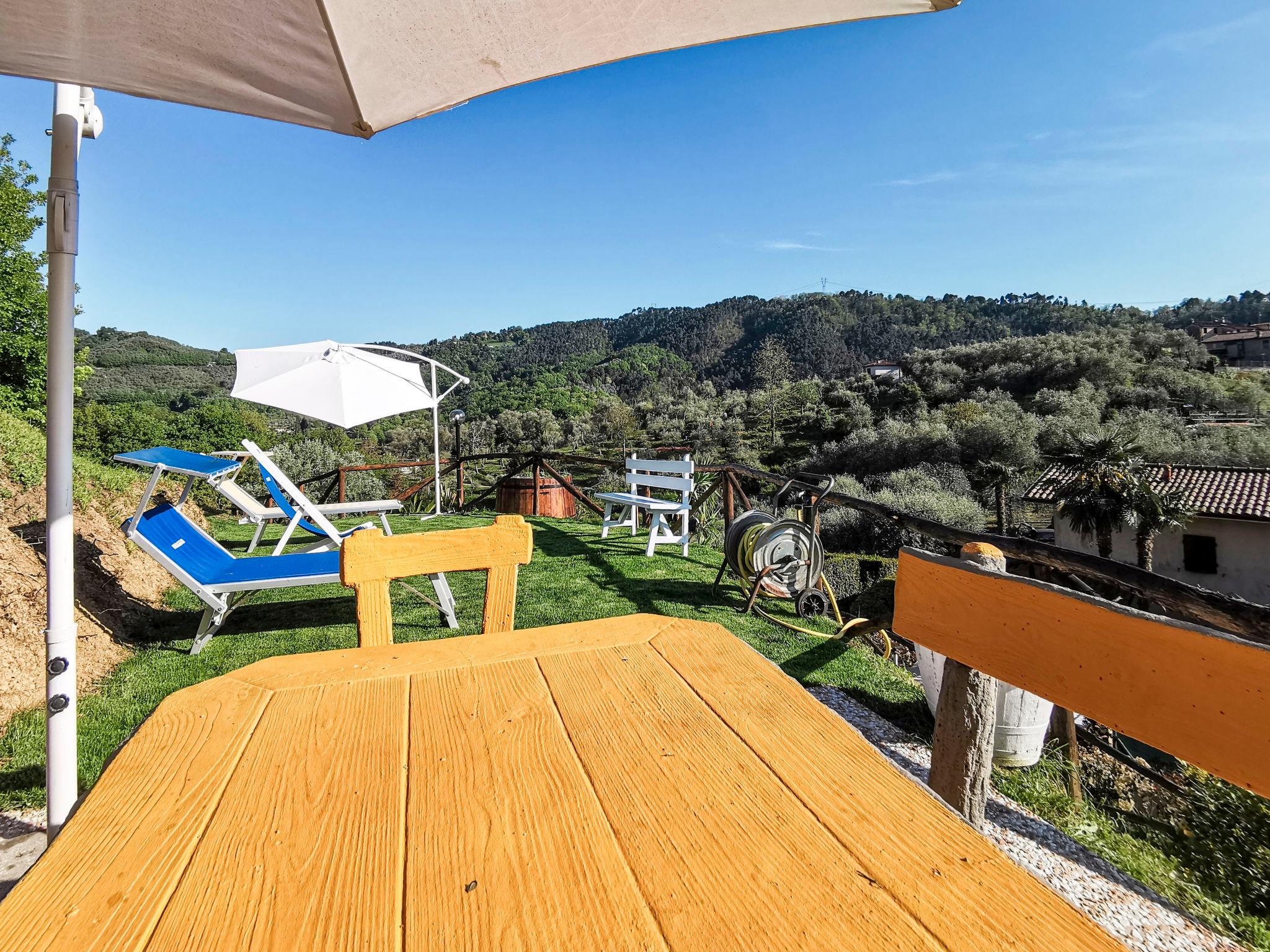 Photo 30 - 2 bedroom Apartment in Camaiore with private pool and garden