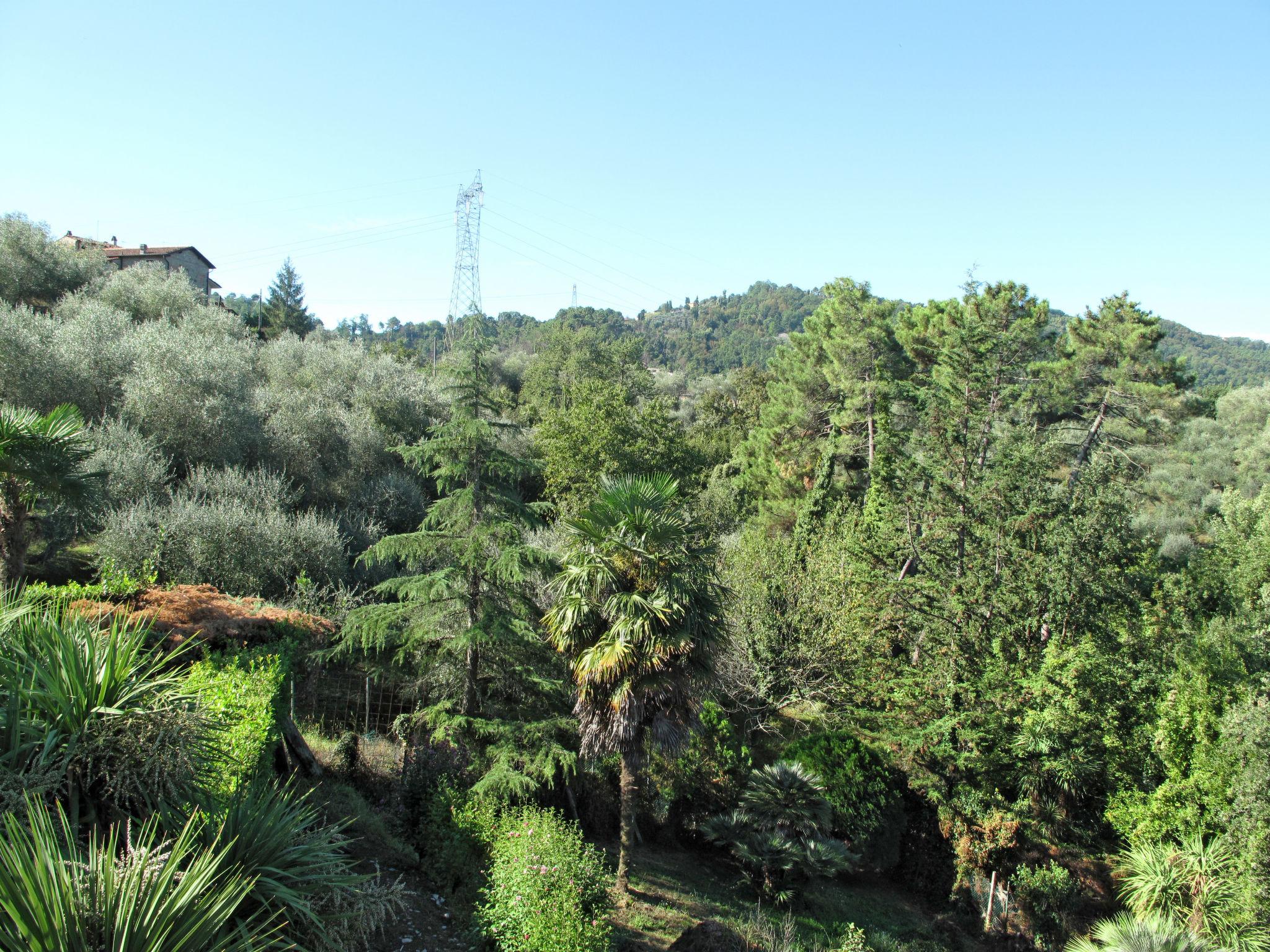 Photo 44 - 2 bedroom Apartment in Camaiore with private pool and sea view