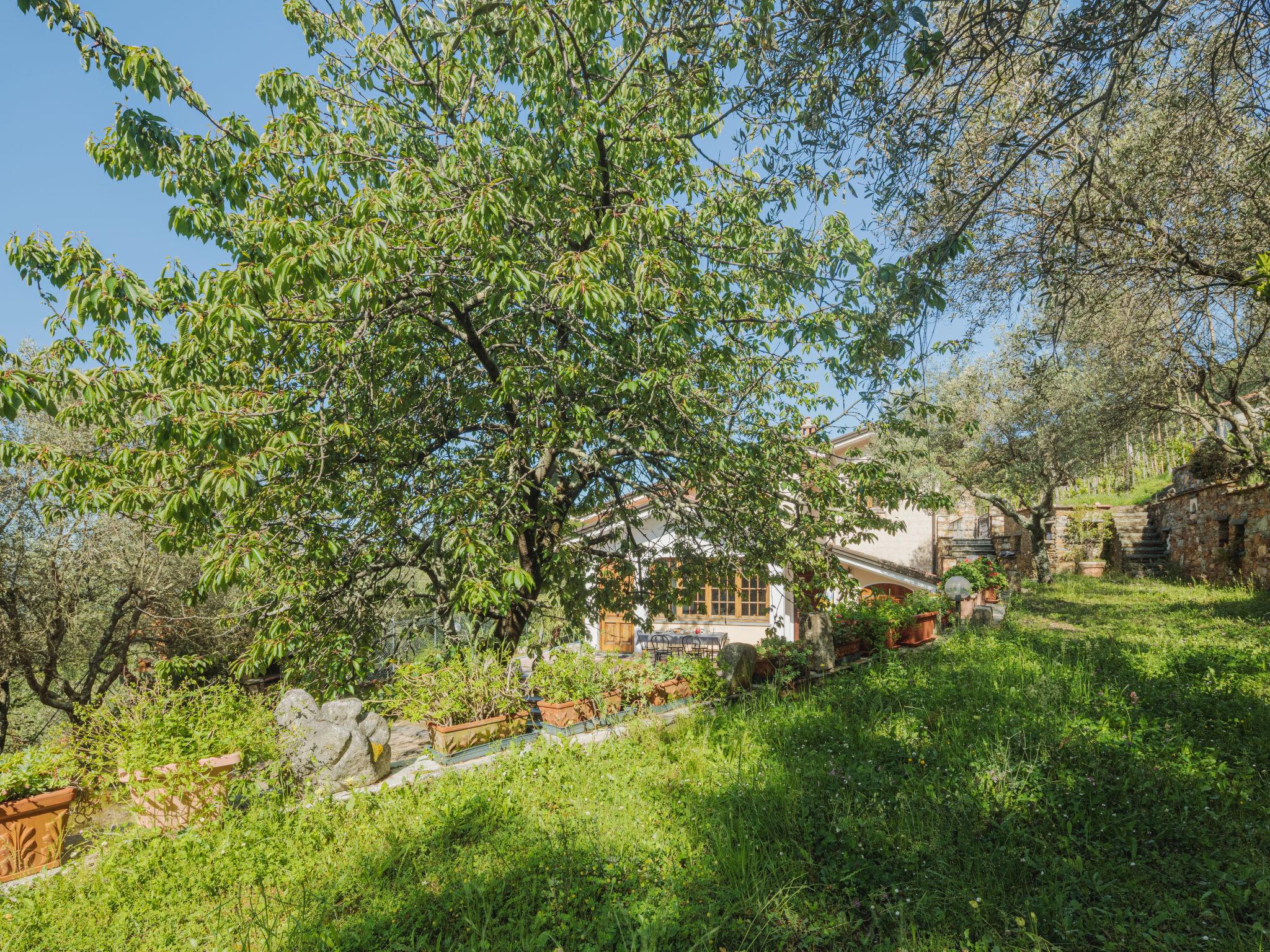 Foto 35 - Casa con 5 camere da letto a Montignoso con giardino e terrazza