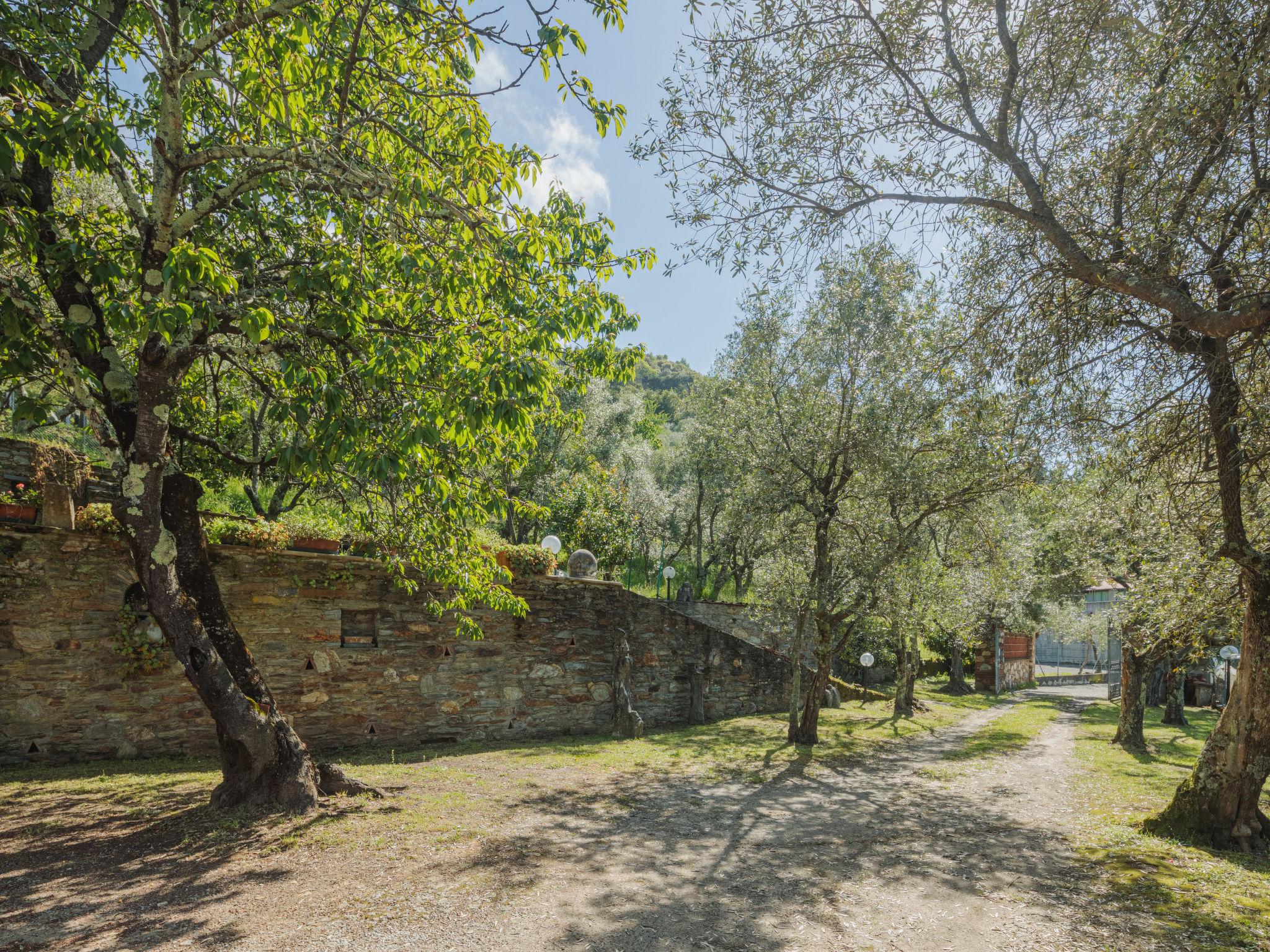 Photo 37 - 5 bedroom House in Montignoso with garden and terrace