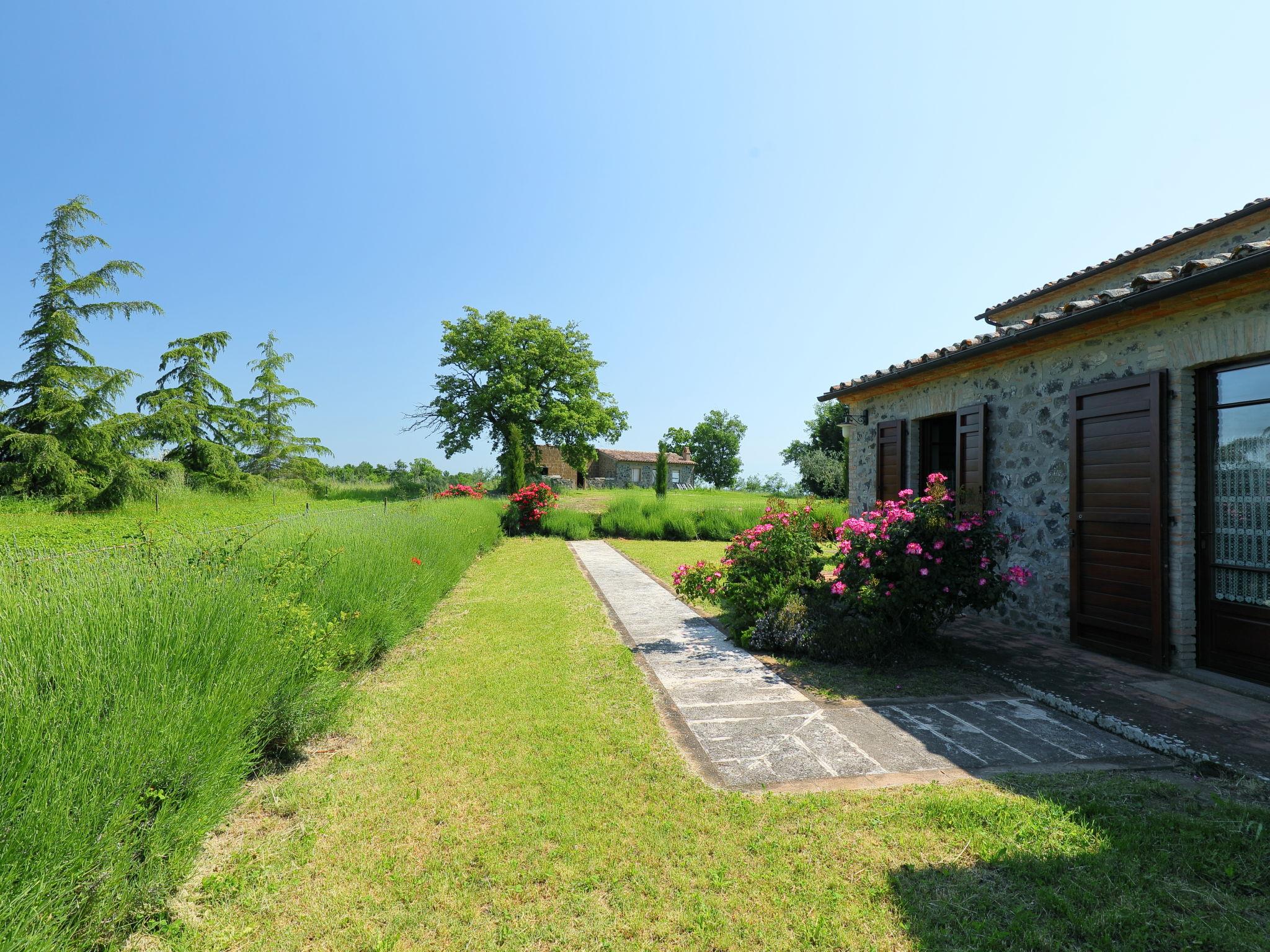 Foto 39 - Casa con 6 camere da letto a Orvieto con piscina privata