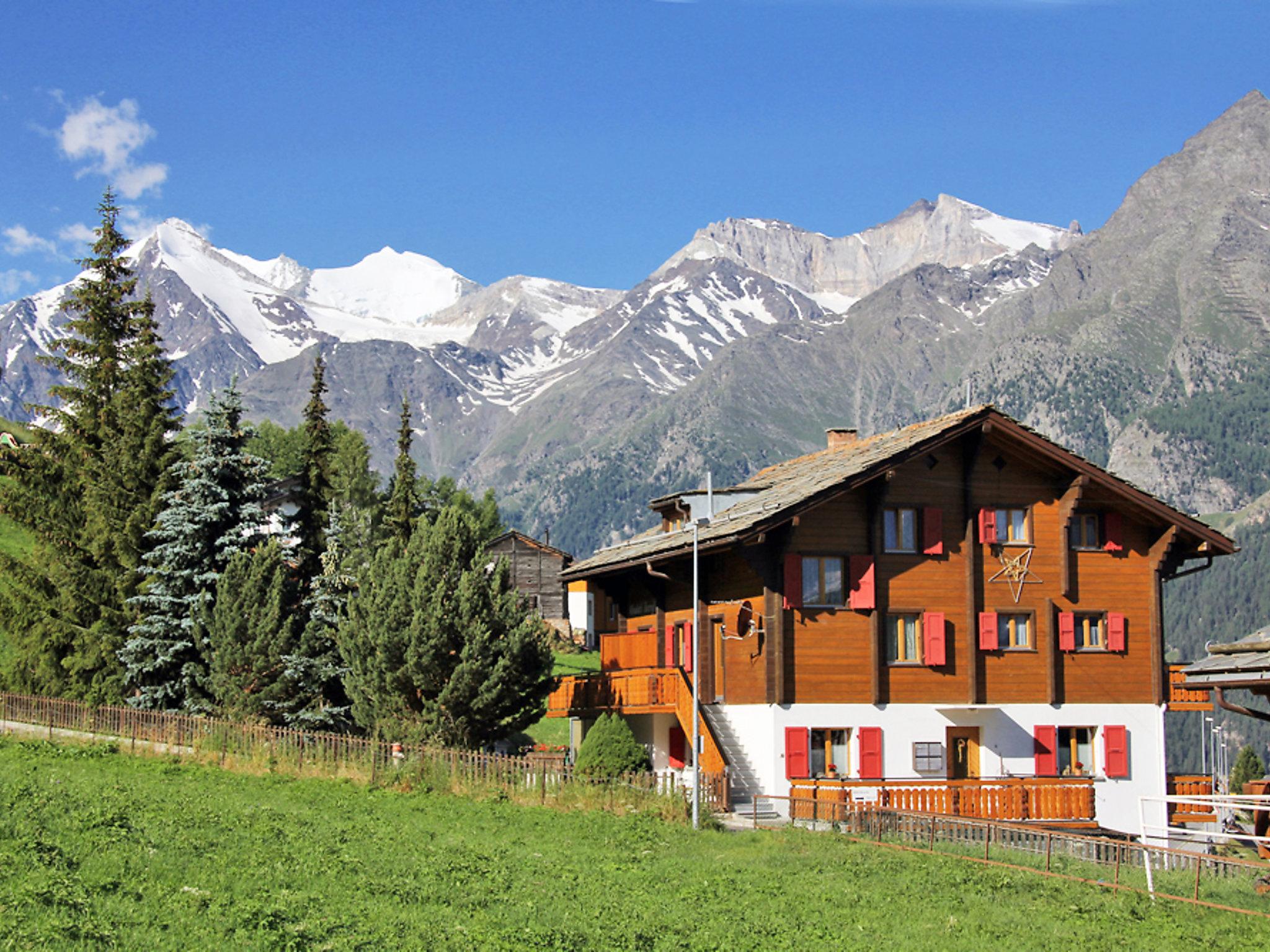 Photo 9 - Apartment in Grächen with garden and mountain view