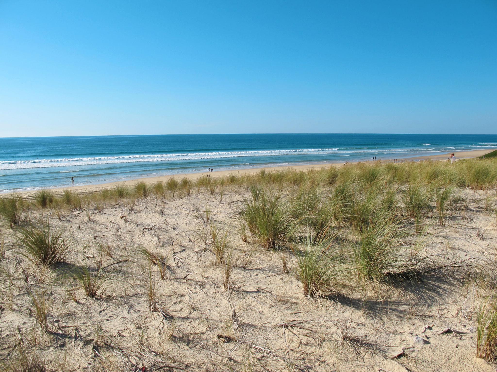 Foto 18 - Haus mit 3 Schlafzimmern in Biscarrosse mit schwimmbad und blick aufs meer