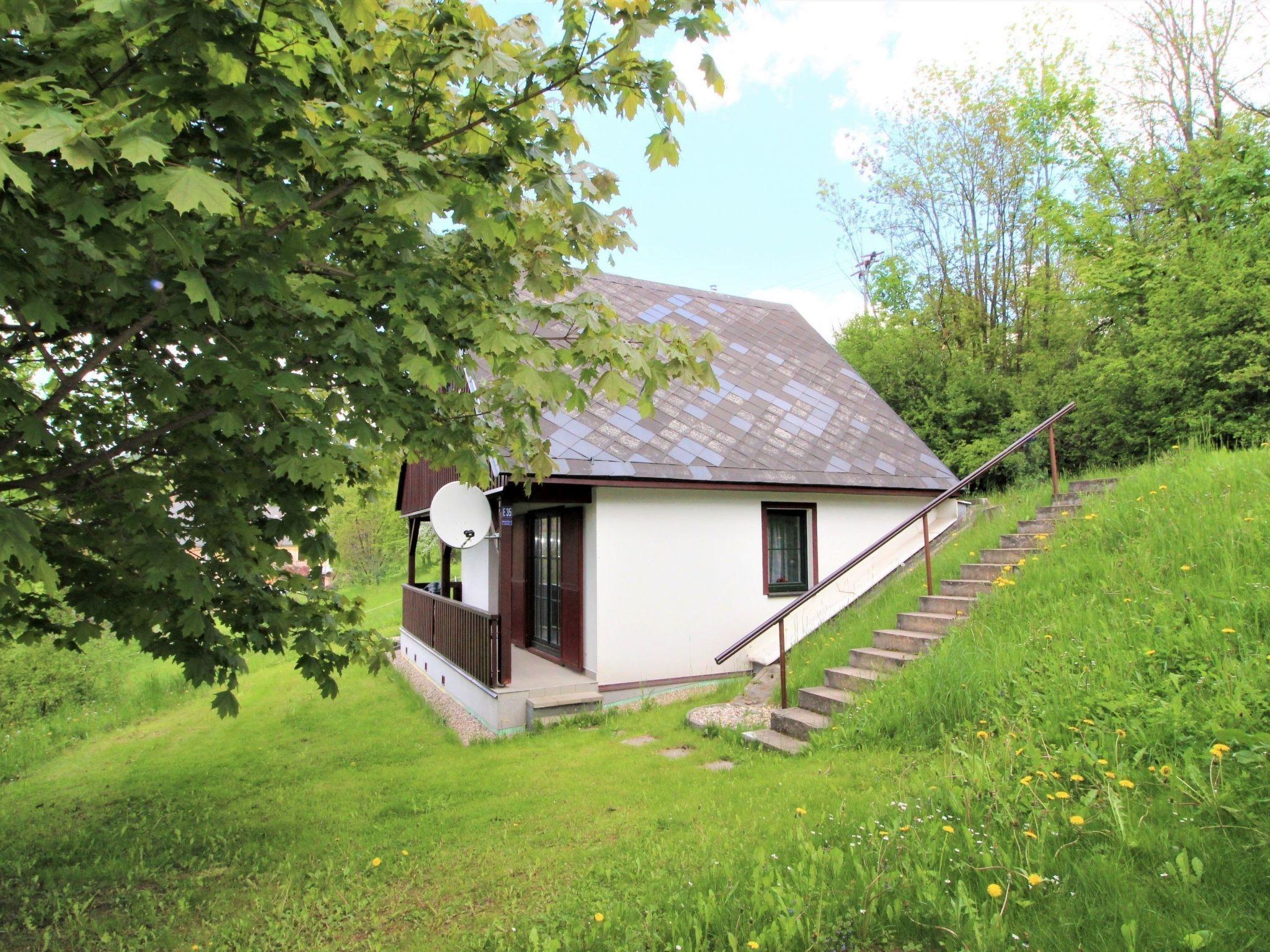 Foto 20 - Haus mit 3 Schlafzimmern in Černý Důl mit schwimmbad und blick auf die berge