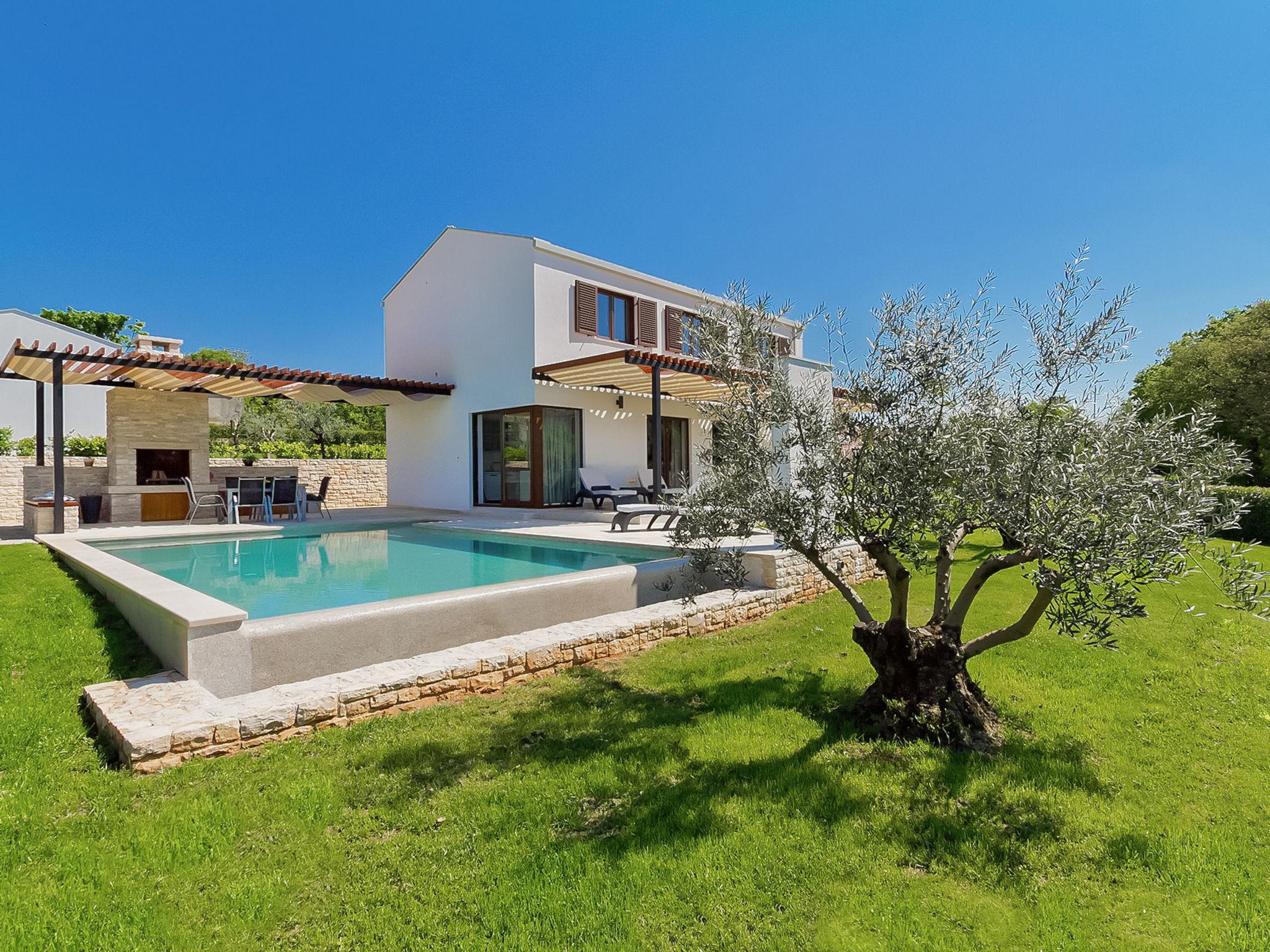 Photo 9 - Maison de 3 chambres à Sveti Petar u Šumi avec piscine privée et jardin