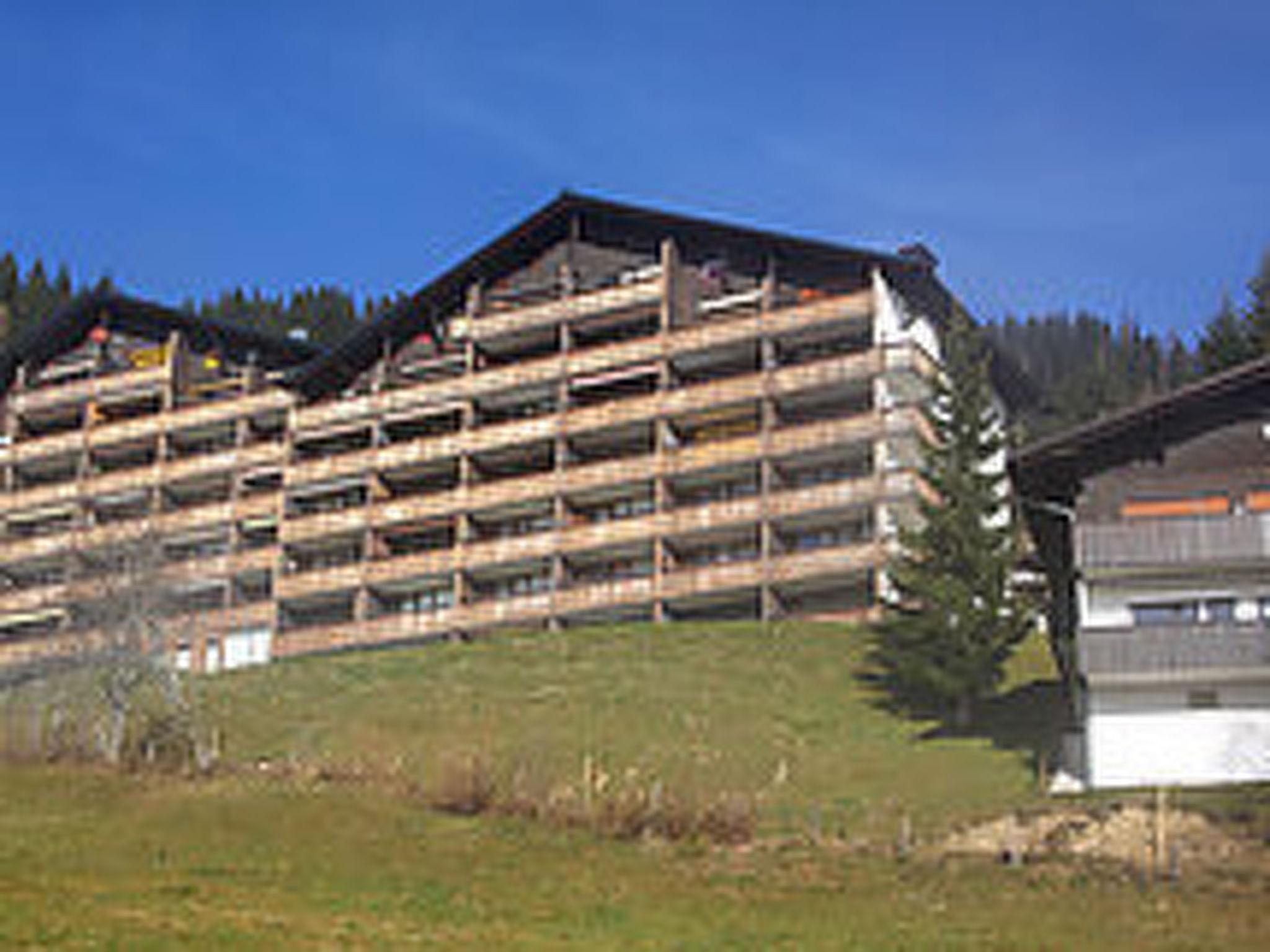 Photo 1 - Appartement de 2 chambres à Mühlbach am Hochkönig avec vues sur la montagne