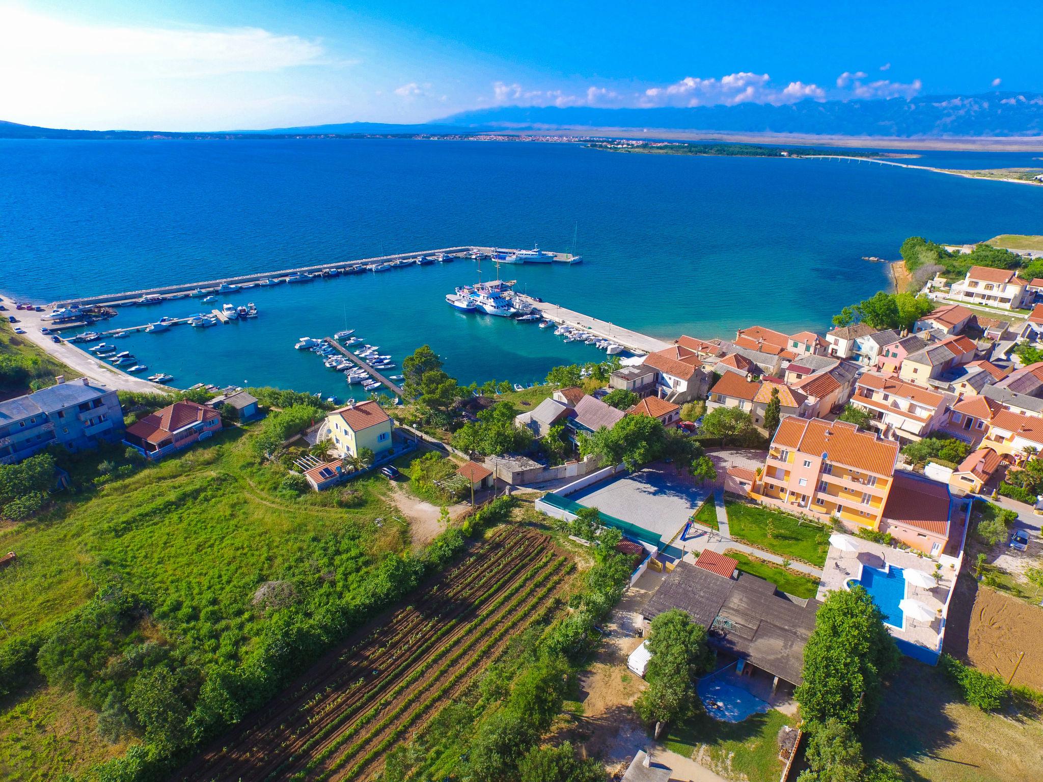 Photo 14 - Apartment in Privlaka with swimming pool and sea view