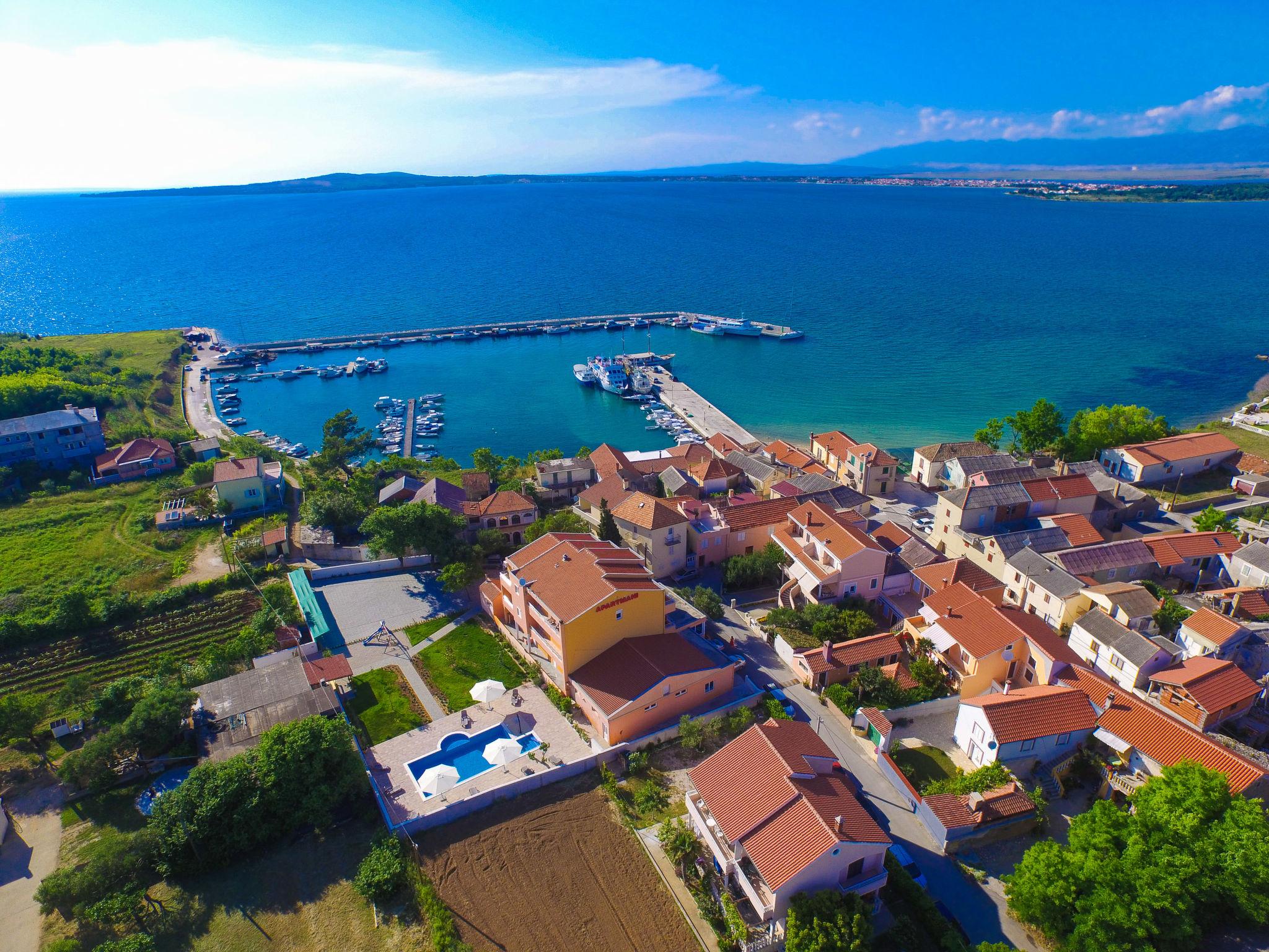 Foto 17 - Appartamento a Privlaka con piscina e vista mare