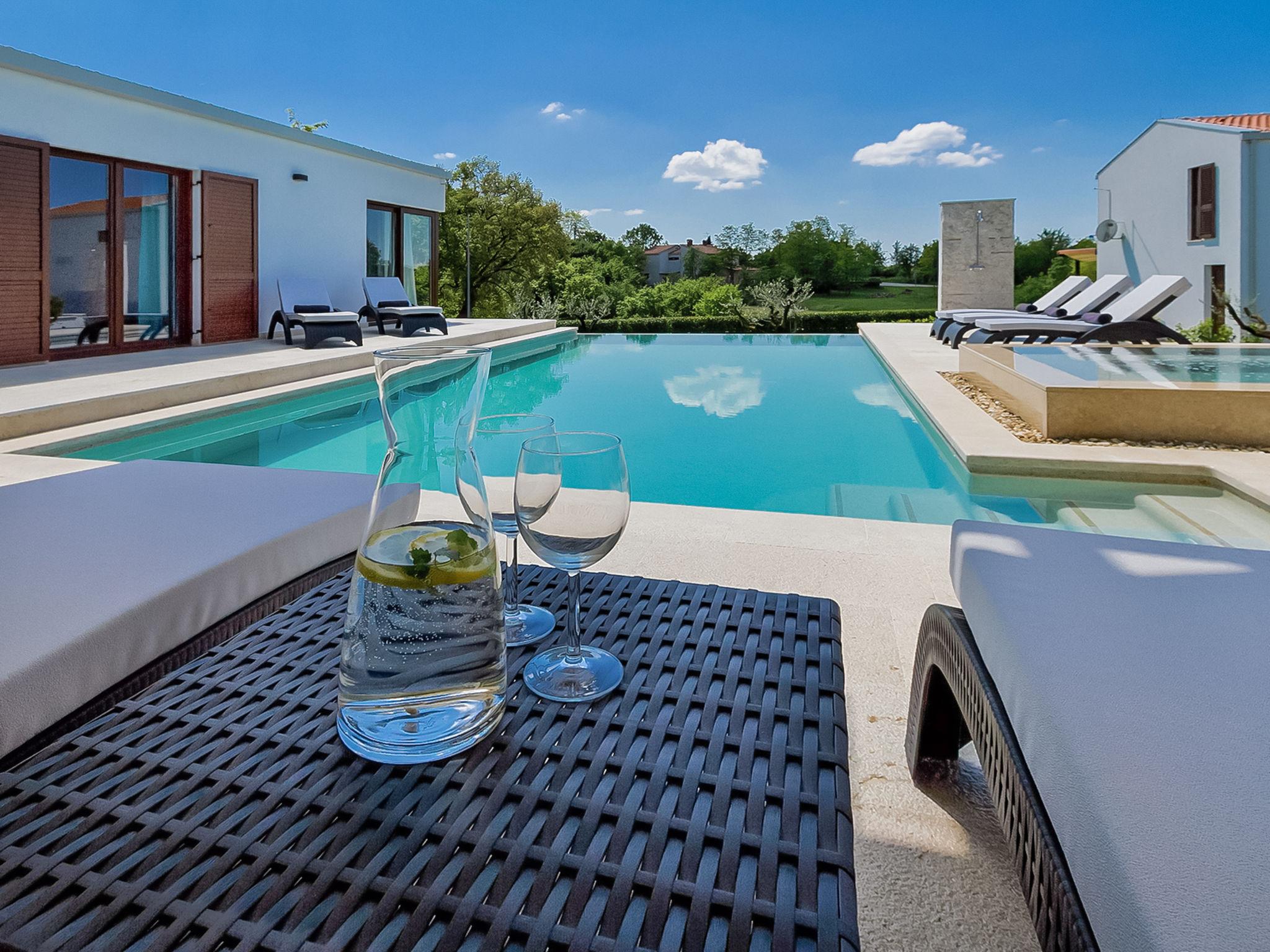 Photo 2 - Maison de 3 chambres à Sveti Petar u Šumi avec piscine privée et jardin