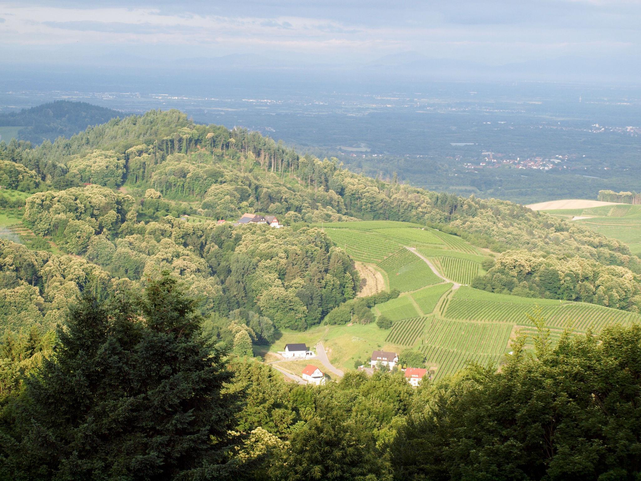 Photo 13 - Appartement de 1 chambre à Sasbachwalden avec terrasse et vues sur la montagne