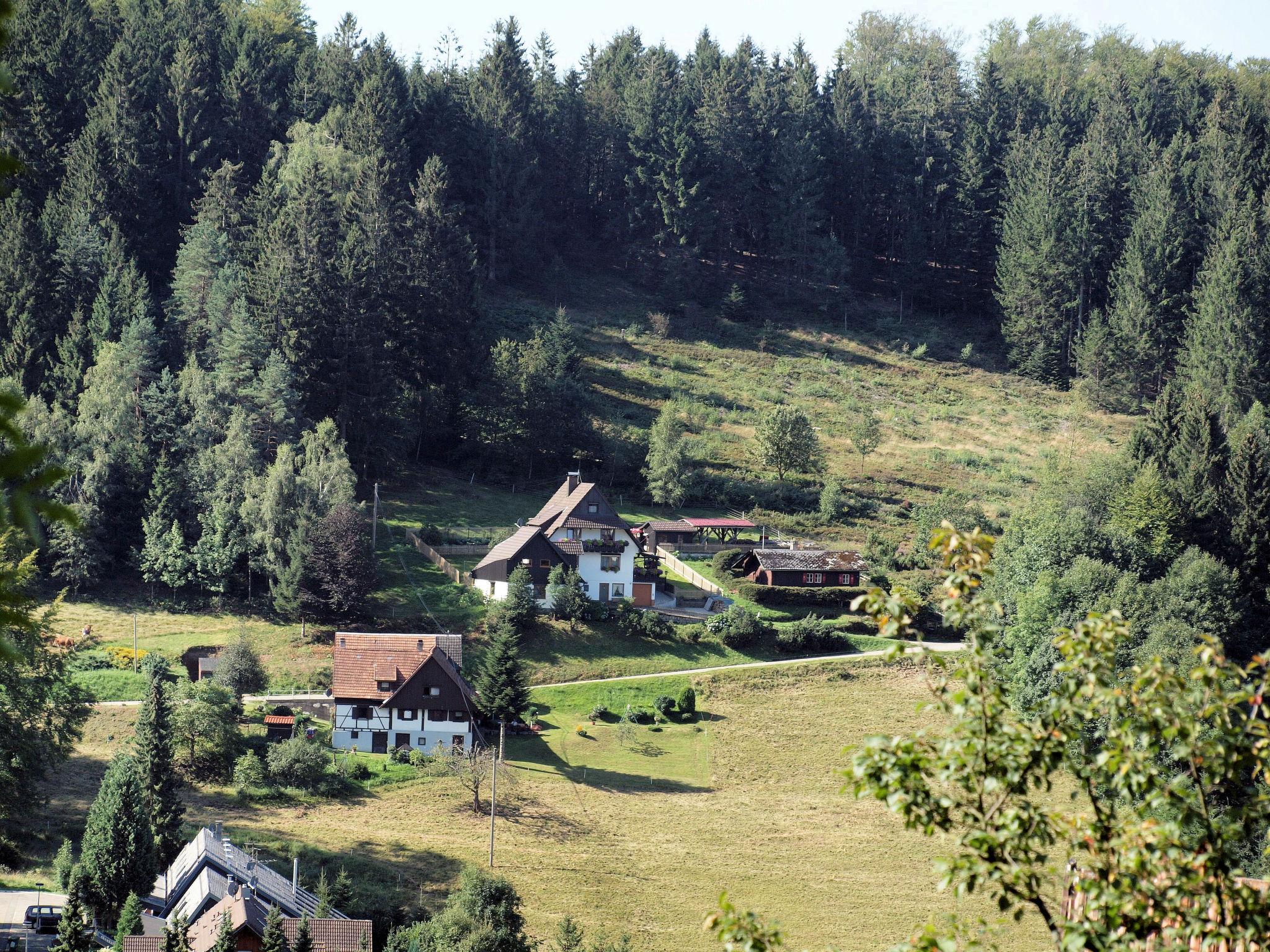 Foto 12 - Apartment mit 1 Schlafzimmer in Sasbachwalden mit terrasse und blick auf die berge