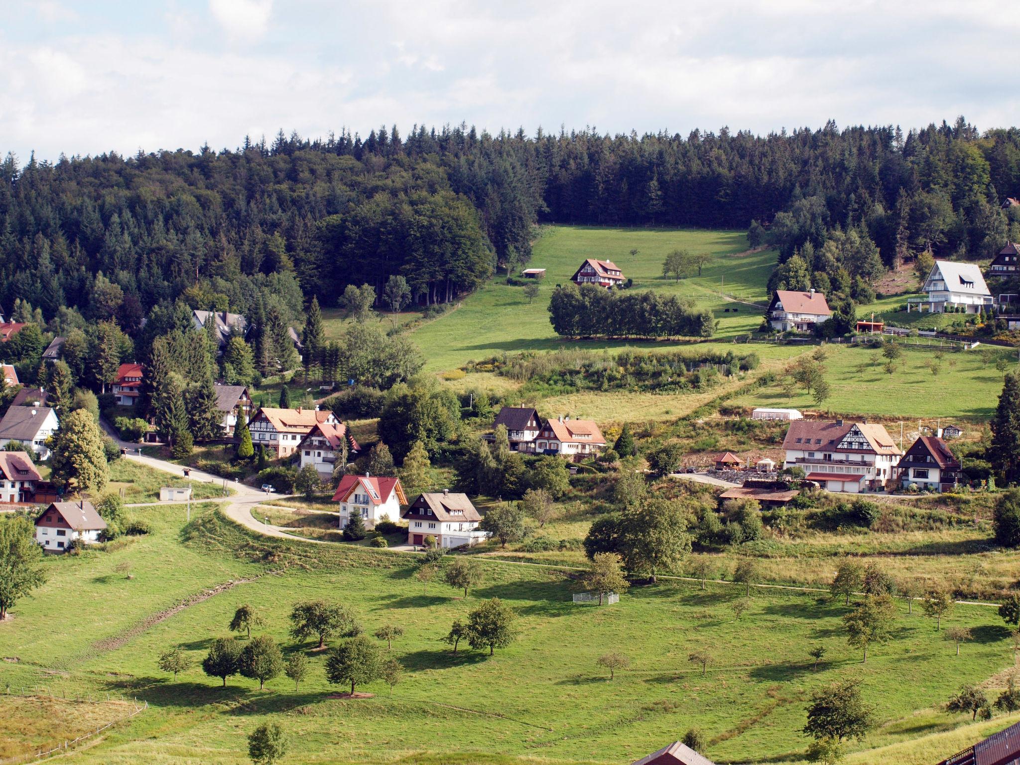 Photo 16 - 1 bedroom Apartment in Sasbachwalden with terrace and mountain view