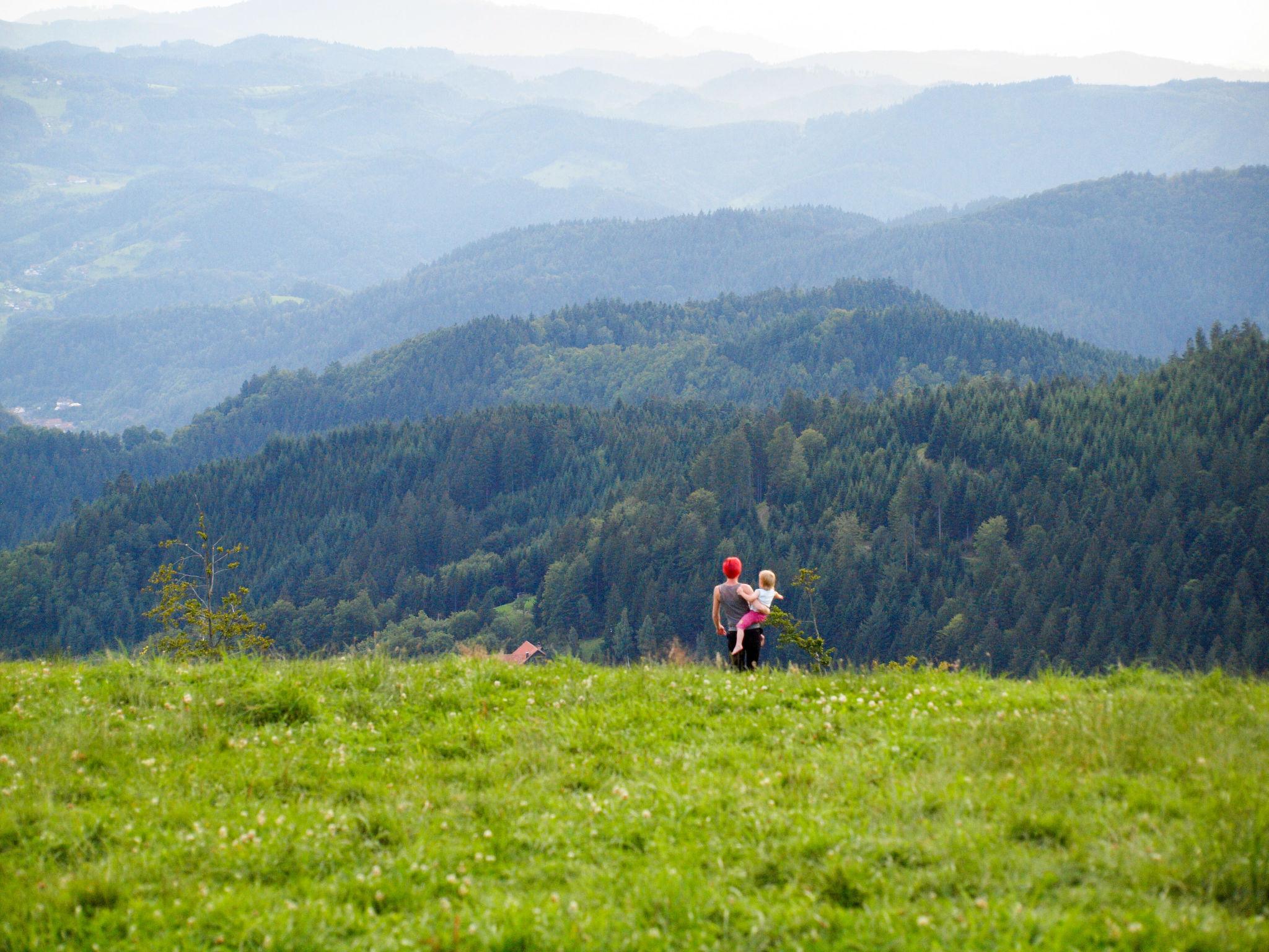 Photo 14 - 1 bedroom Apartment in Sasbachwalden with terrace and mountain view