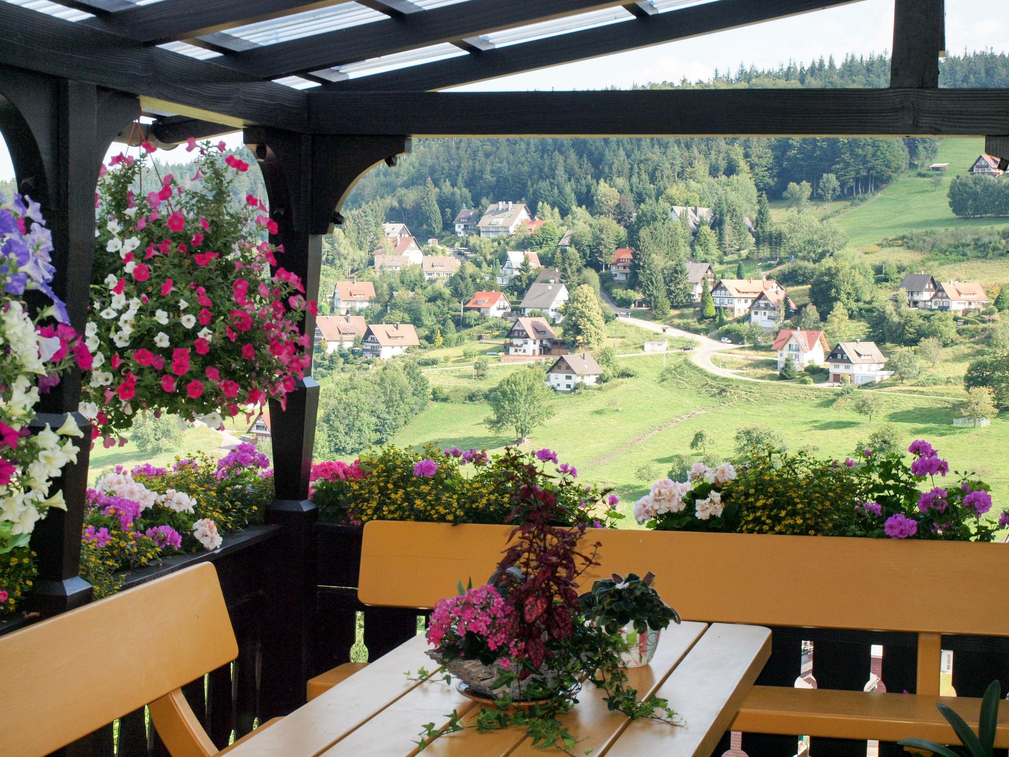 Foto 5 - Appartamento con 1 camera da letto a Sasbachwalden con terrazza e vista sulle montagne