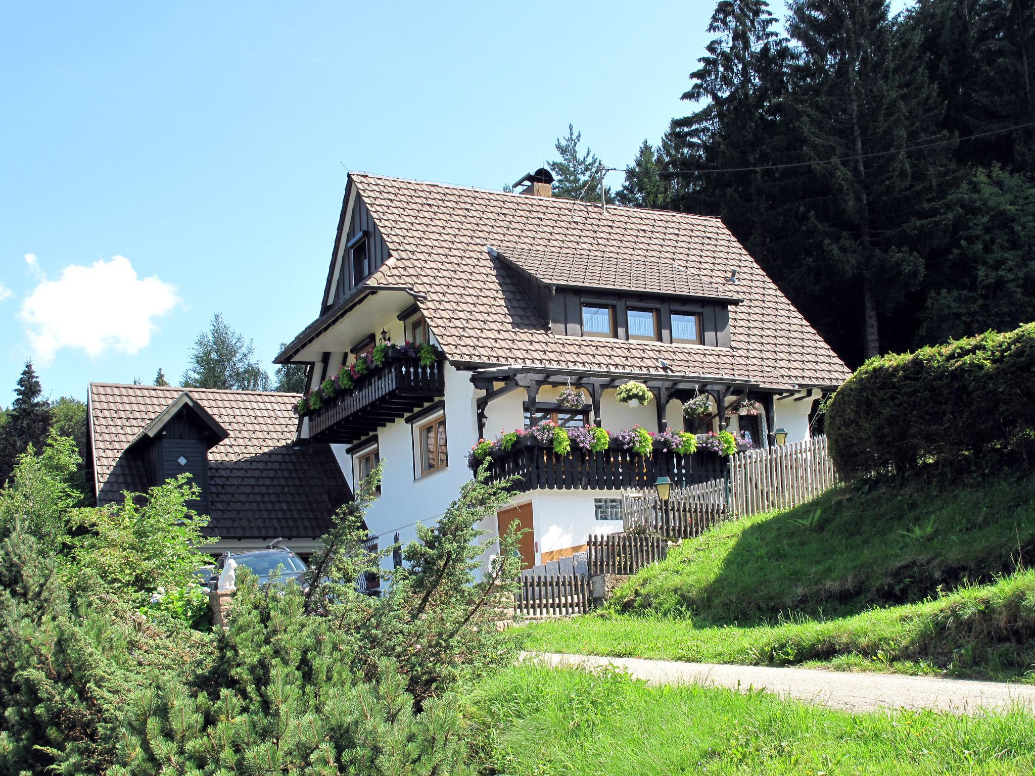 Foto 1 - Appartamento con 1 camera da letto a Sasbachwalden con terrazza e vista sulle montagne