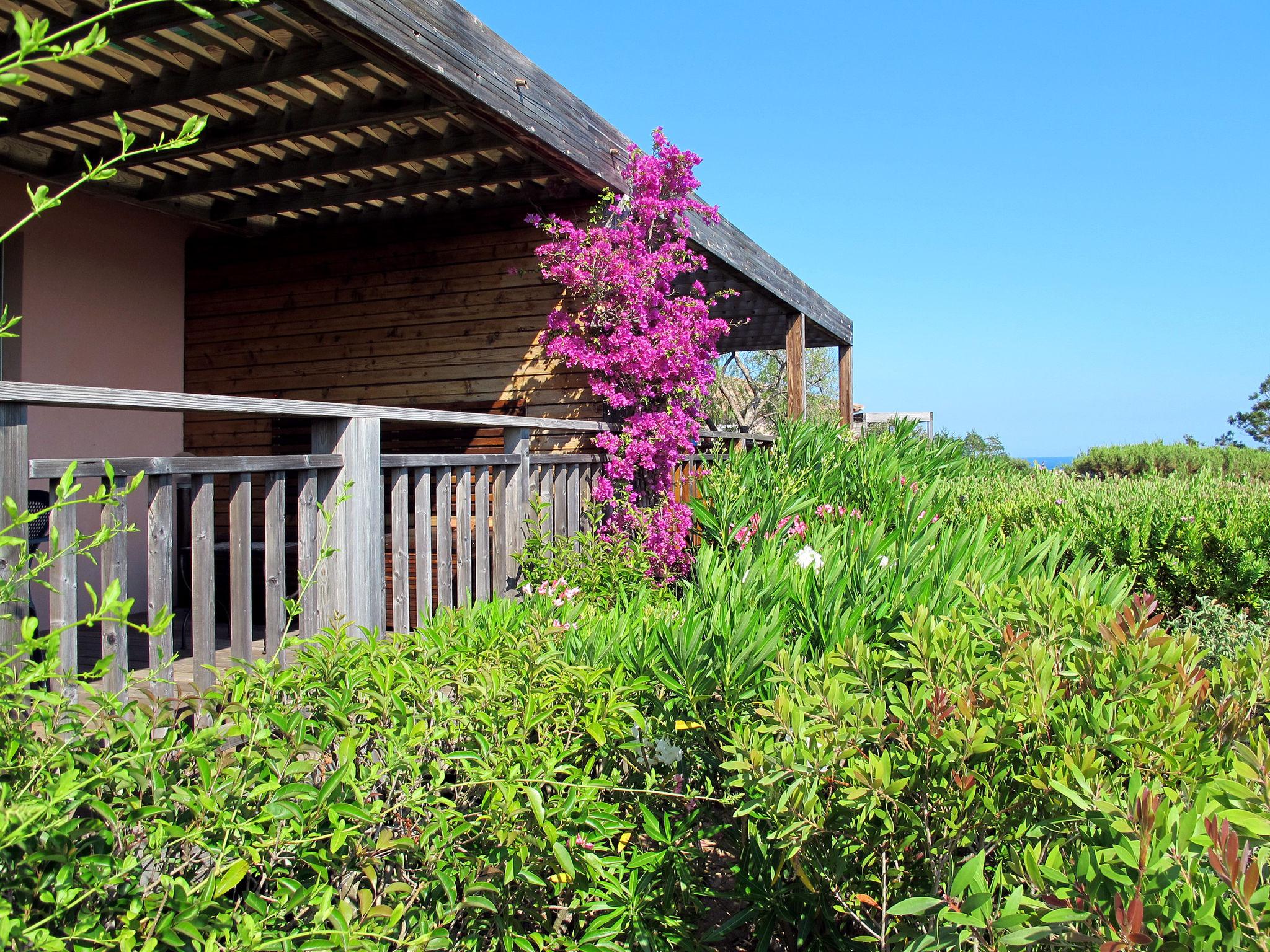 Foto 4 - Casa de 2 habitaciones en Porto-Vecchio con piscina y vistas al mar