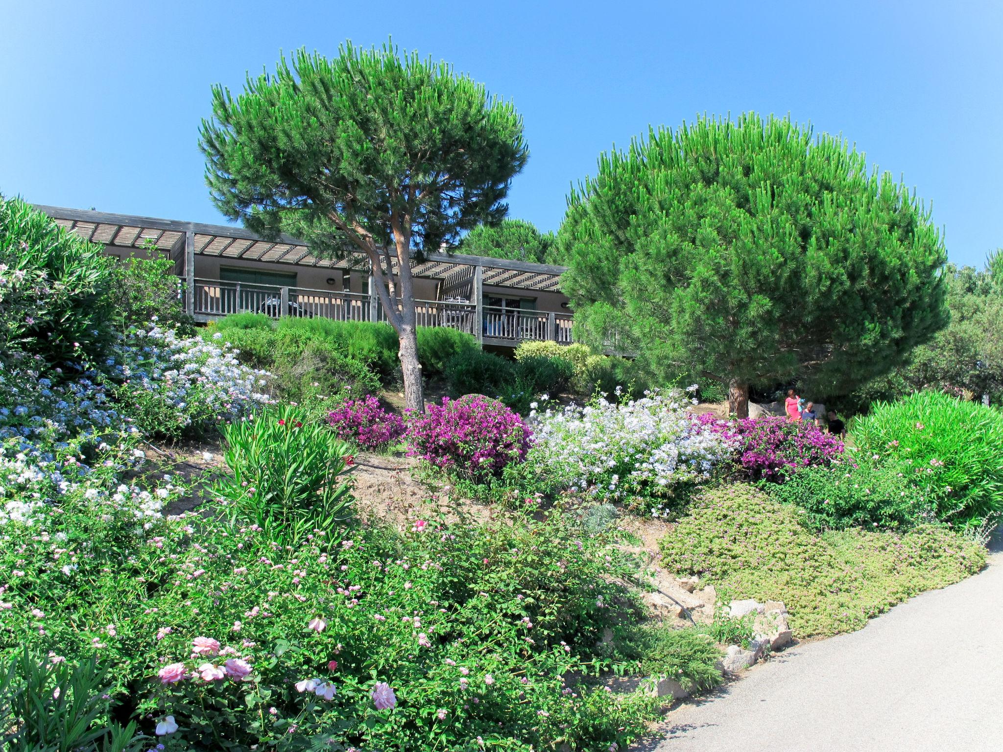 Photo 3 - Maison de 2 chambres à Porto-Vecchio avec piscine et jardin