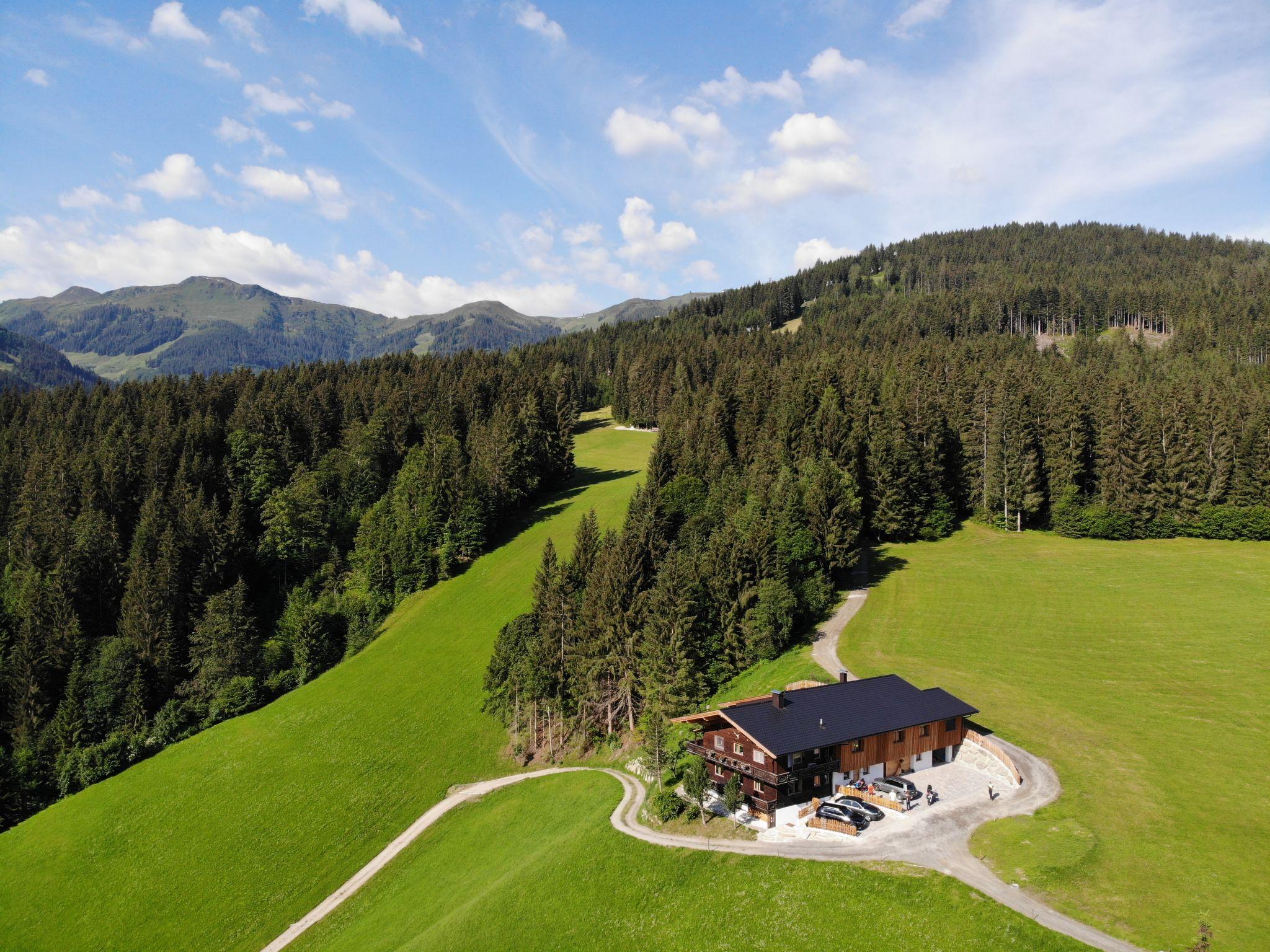 Photo 39 - 2 bedroom Apartment in Wildschönau with garden and mountain view