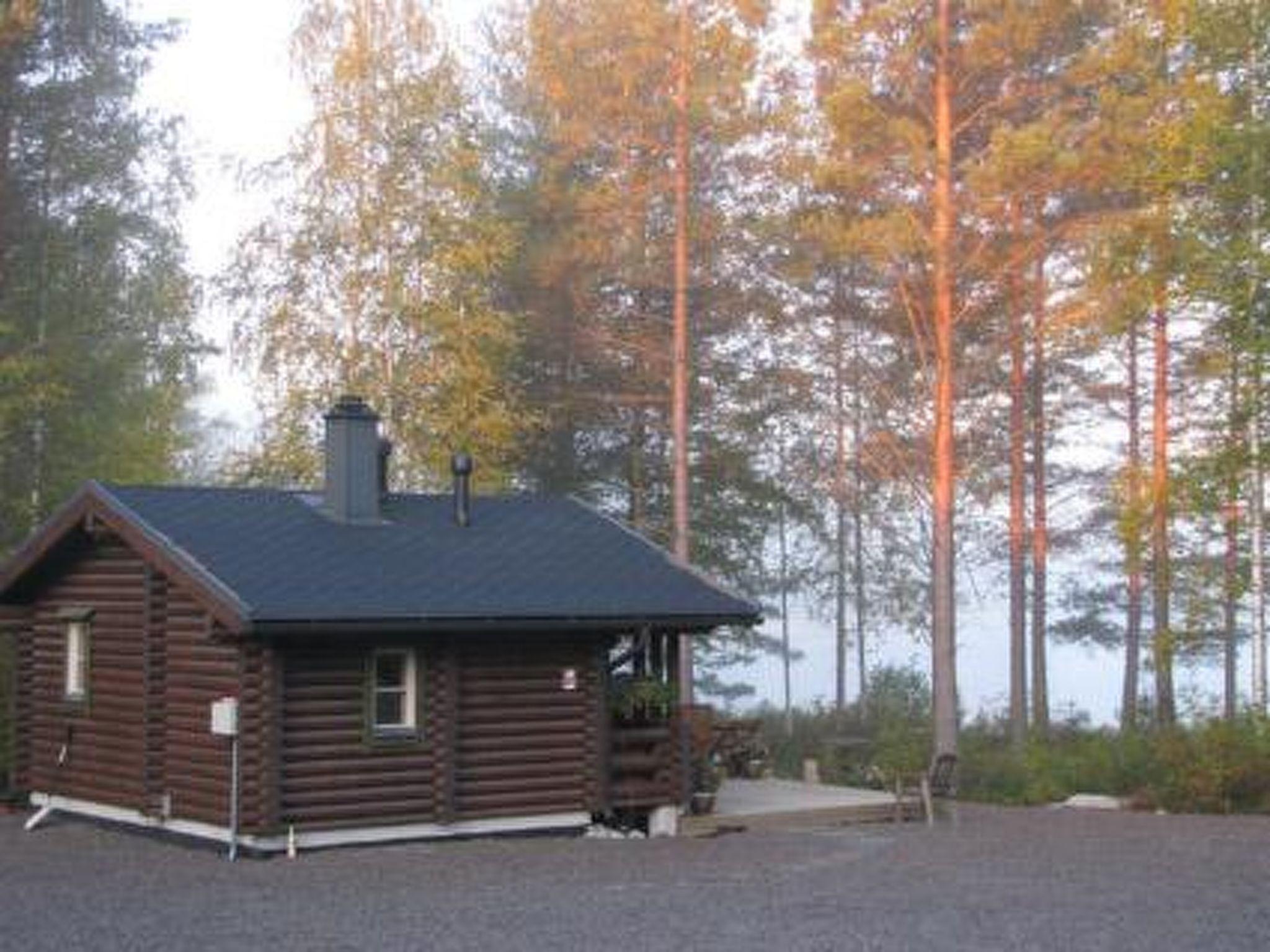 Photo 5 - 2 bedroom House in Hartola with sauna