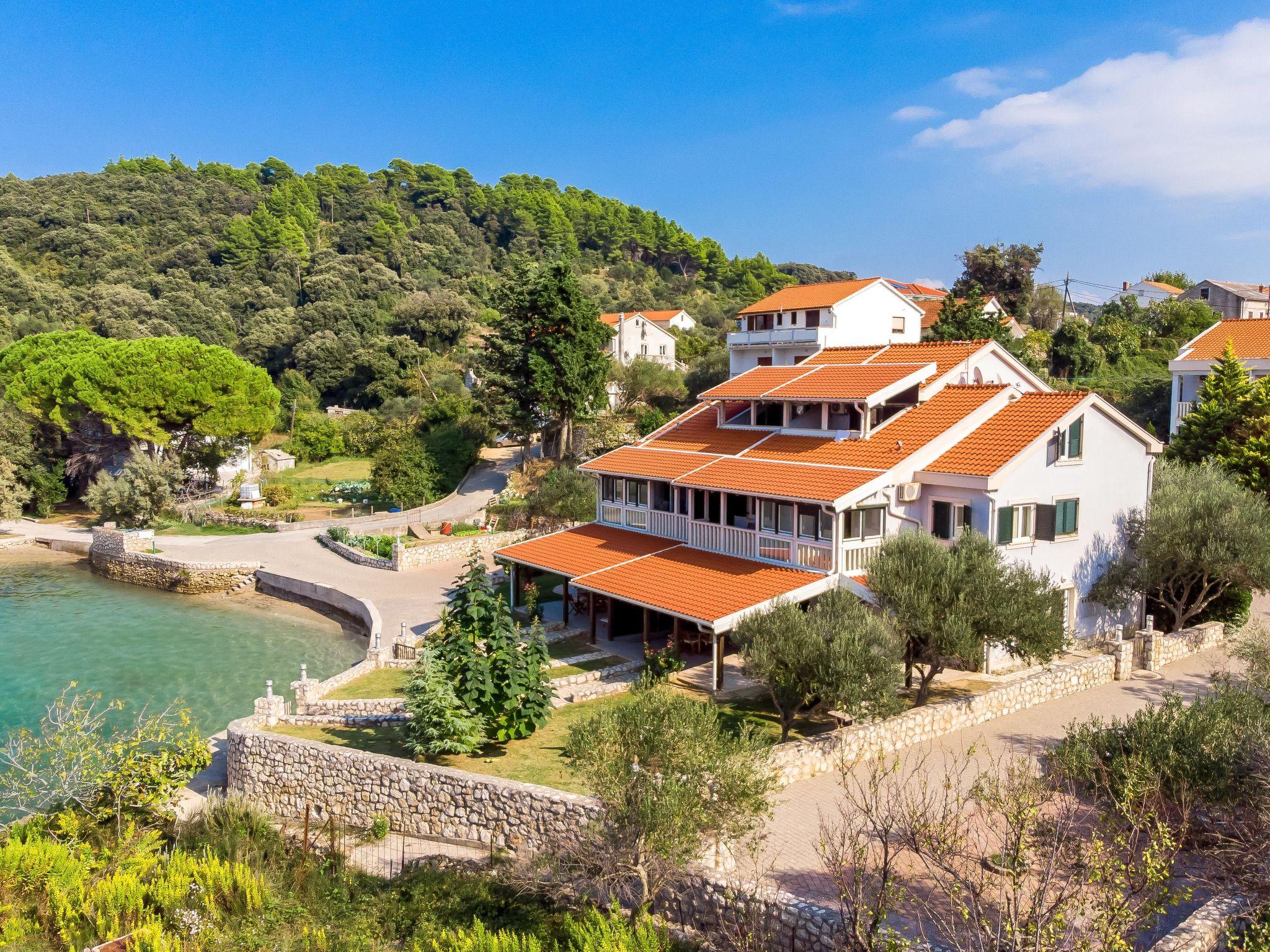 Foto 1 - Apartment mit 1 Schlafzimmer in Rab mit schwimmbad und blick aufs meer