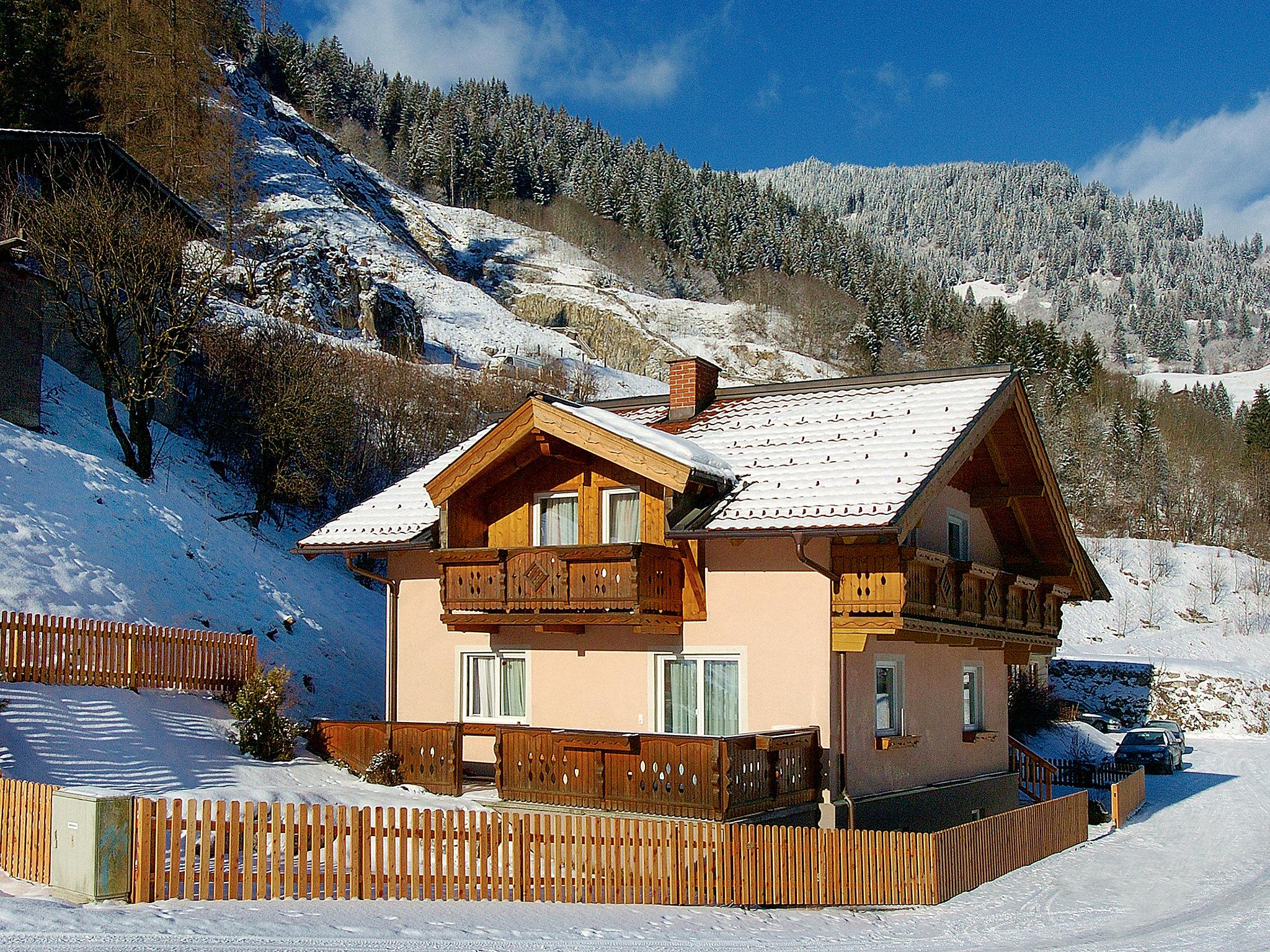 Photo 19 - Appartement de 2 chambres à Großarl avec jardin et vues sur la montagne