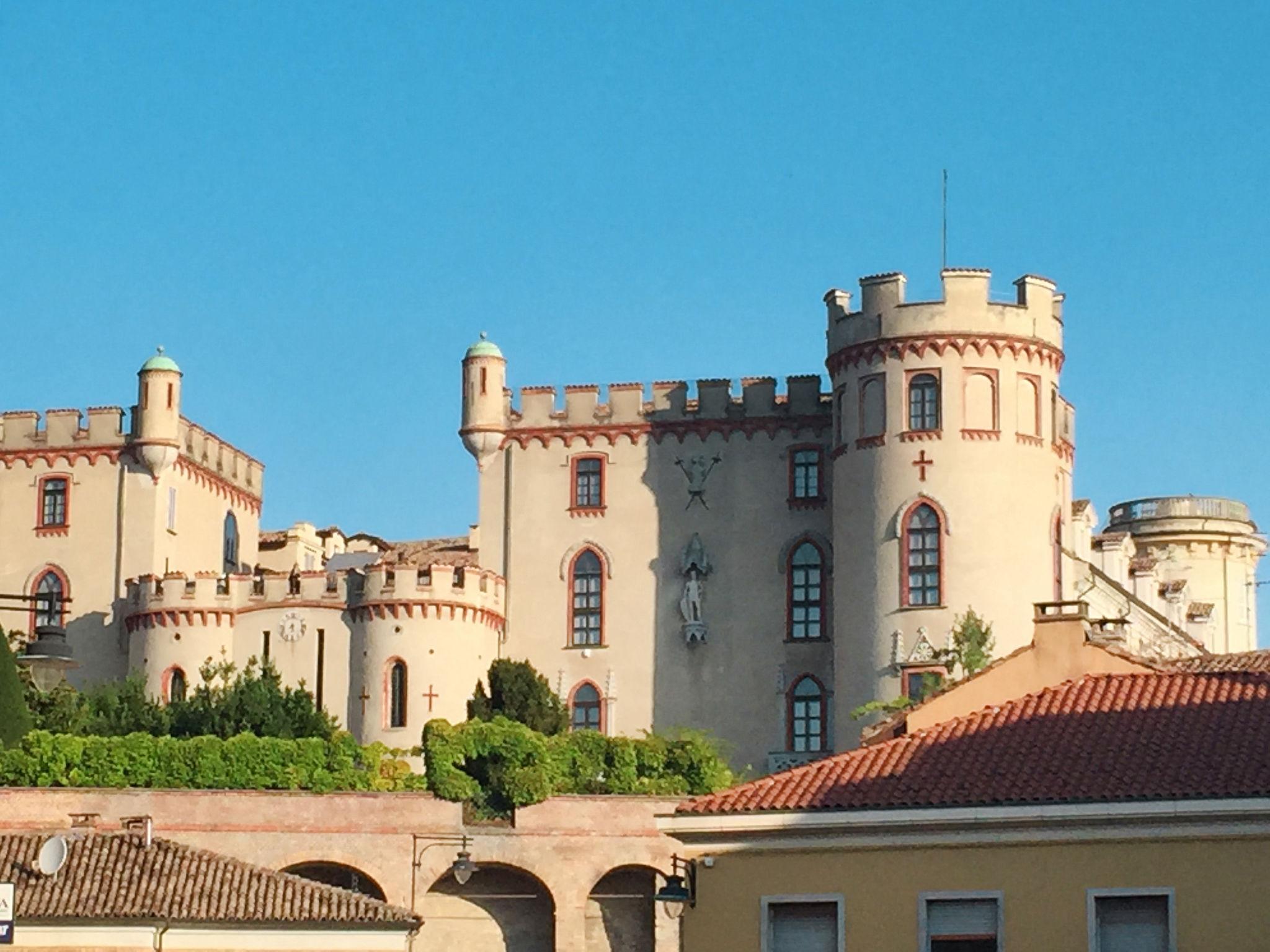 Foto 40 - Casa de 2 quartos em Costigliole d'Asti com piscina e jardim