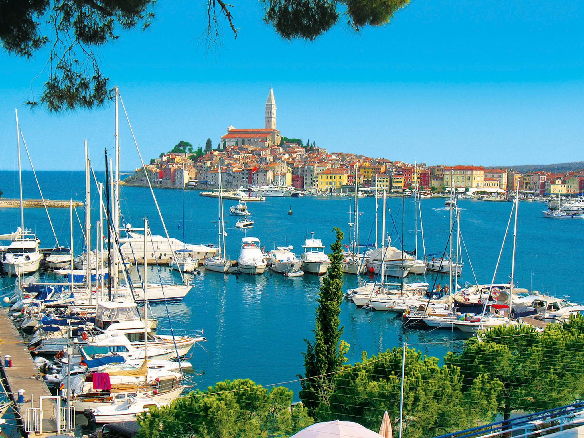 Photo 36 - Appartement de 1 chambre à Rovinj avec piscine et vues à la mer